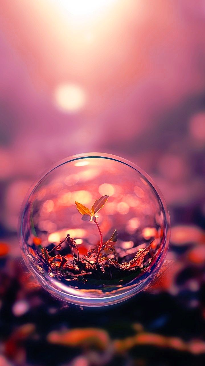 3d HD Wallpaper Picture Photos Image For