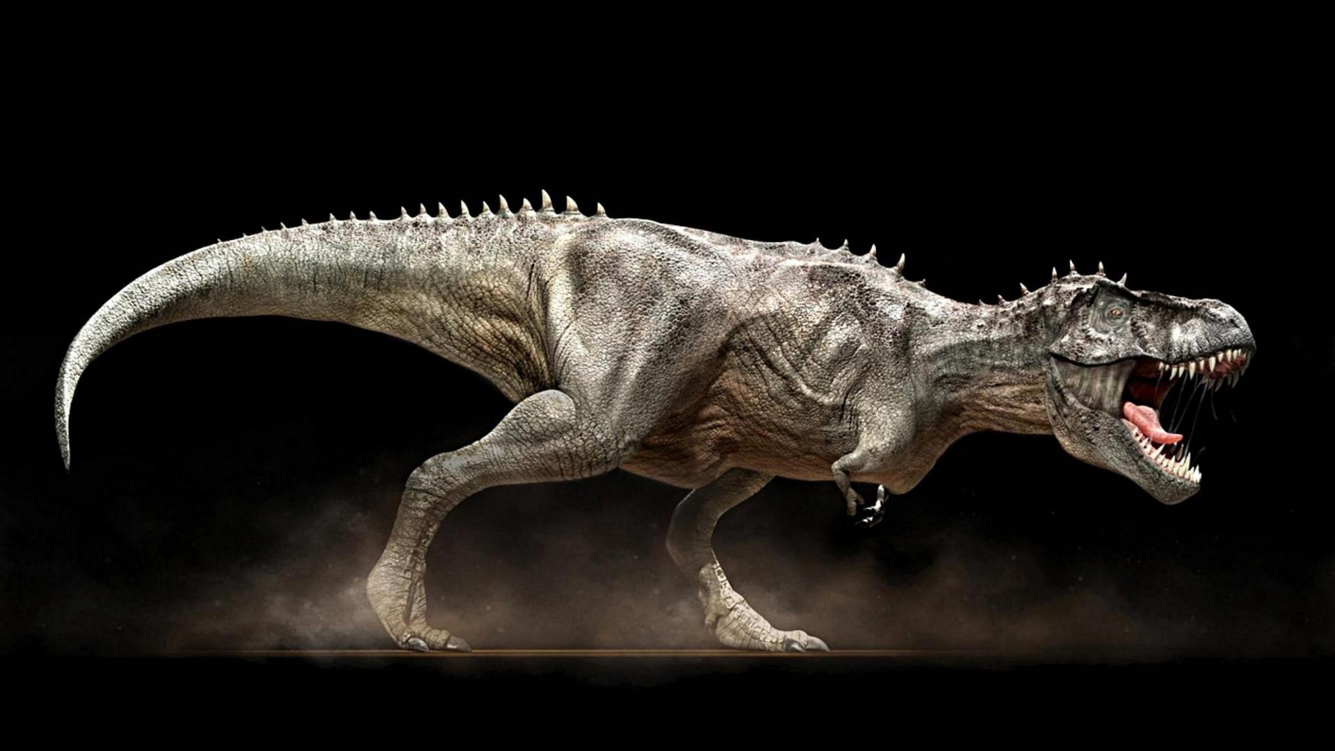 Dinosaur Wallpaper Angry Rex