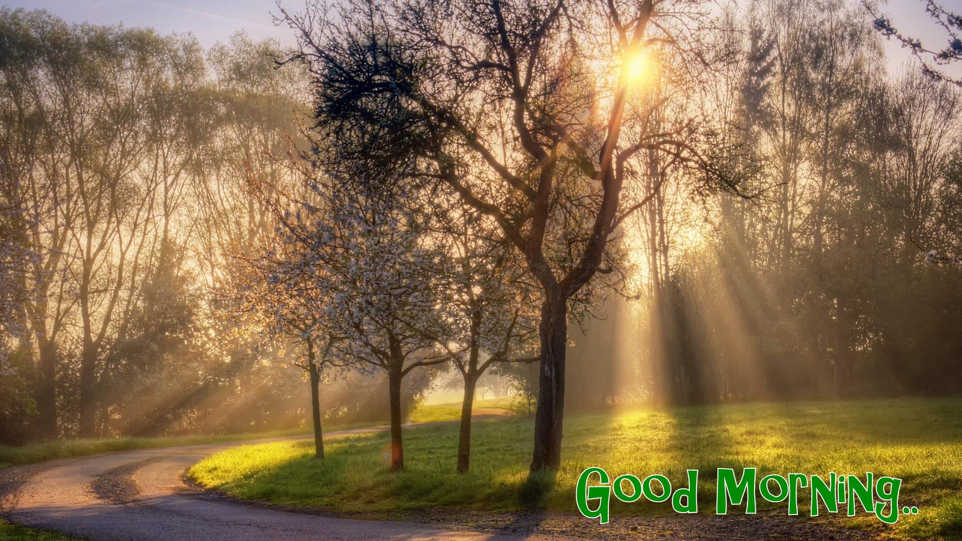Beautiful Nature Good Morning Wallpaper