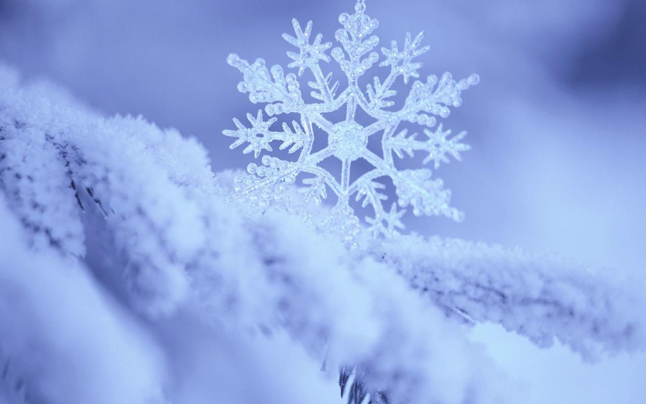 Frozen Snowflake Wallpaper