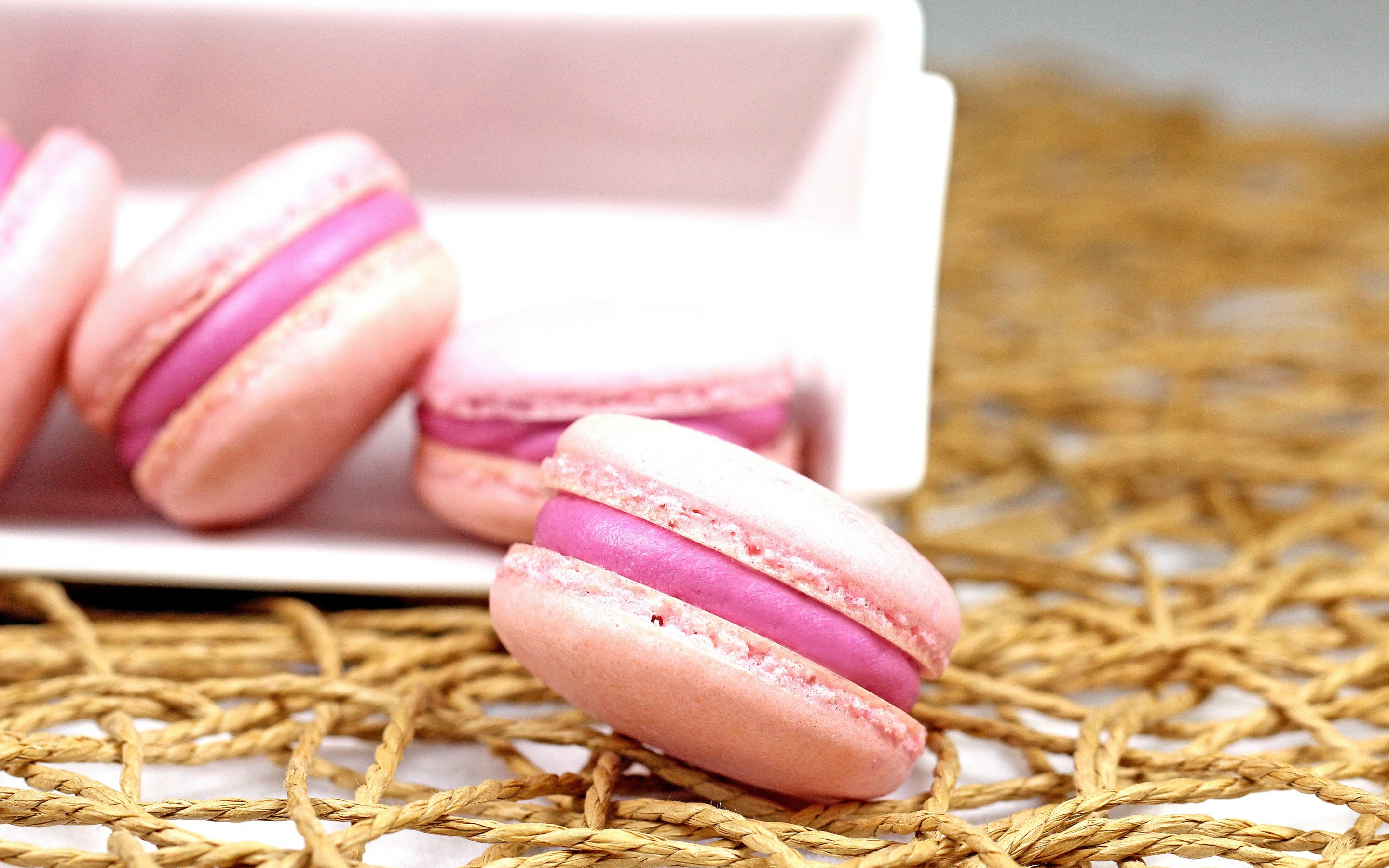 Macarons Background Wallpaper High Definition Quality