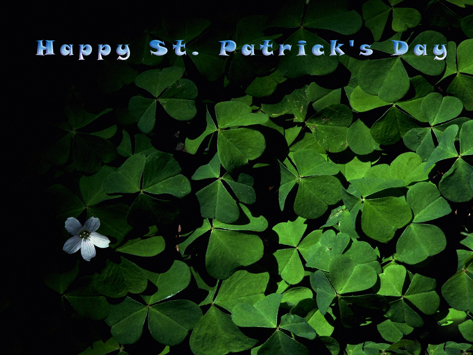 download desktop wallpaper for st patricks day in your computer 1600x1200
