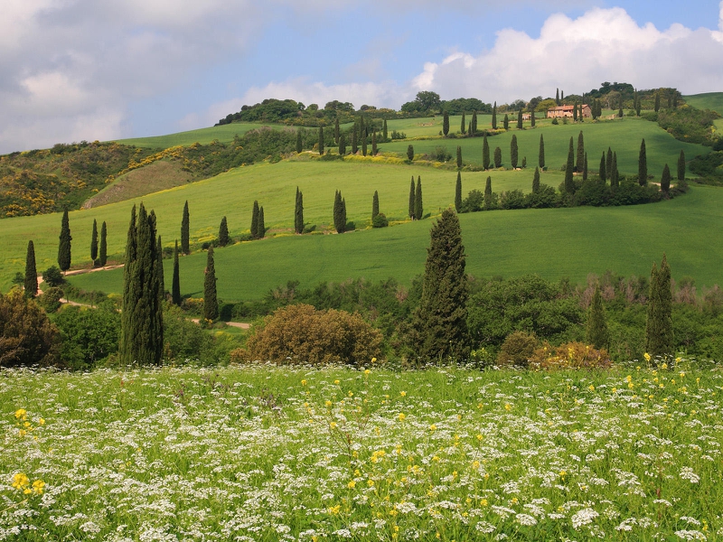 Grass Hills Of Tuscany Nature Fields HD Desktop Wallpaper