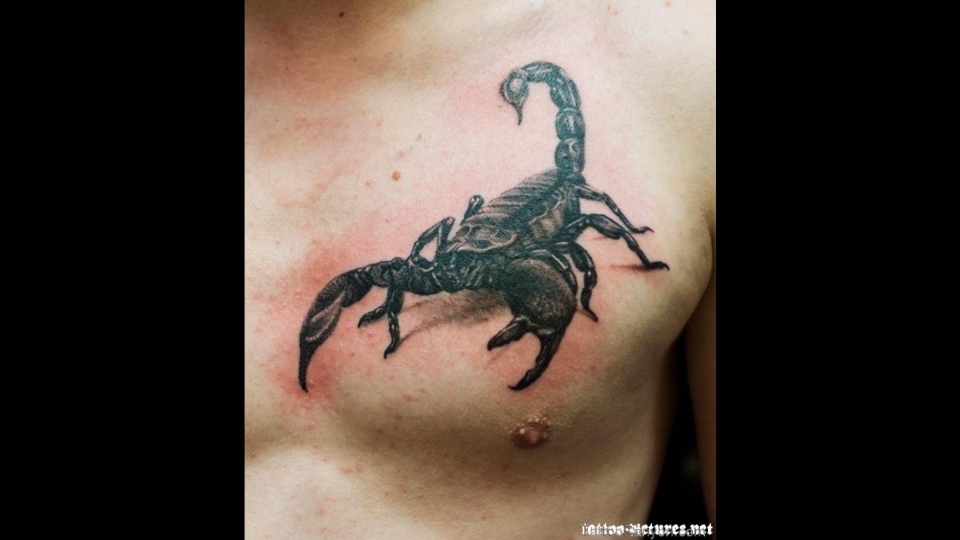 Scorpion Tattoo Image Design Jpg