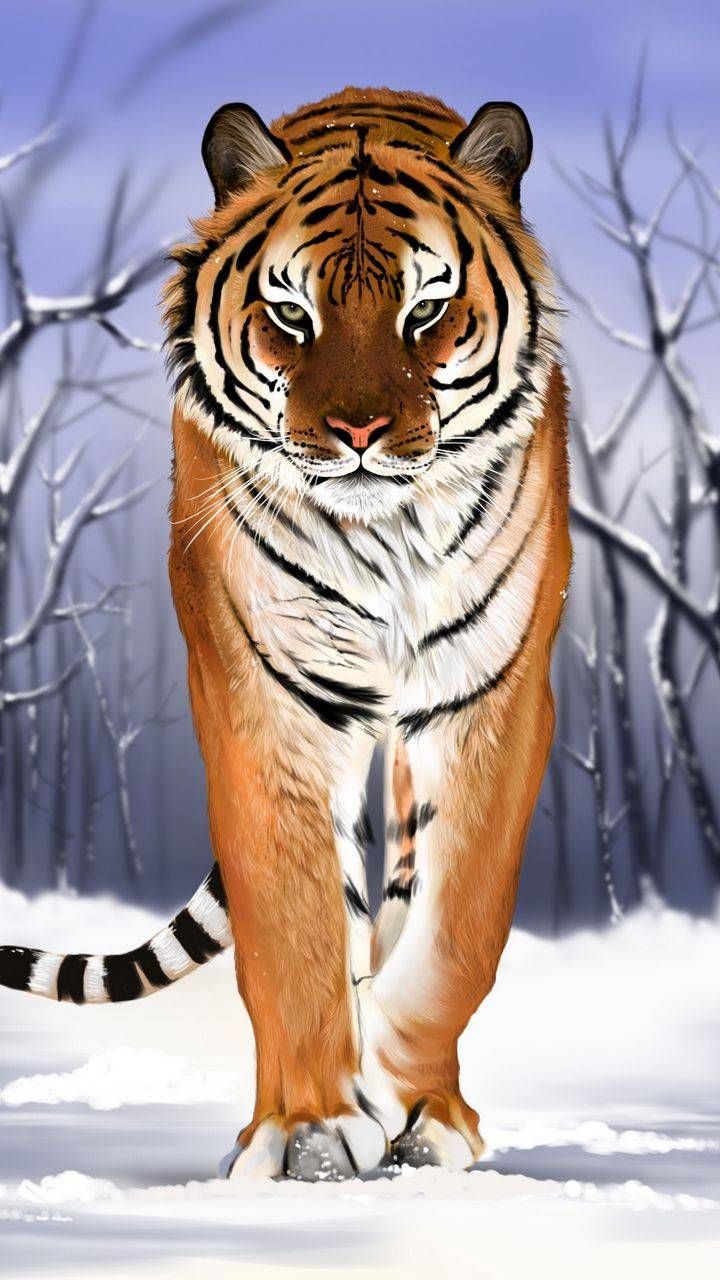 C9aa7896ec1efeaf8c5fbc66d7c35506 Wallpaper