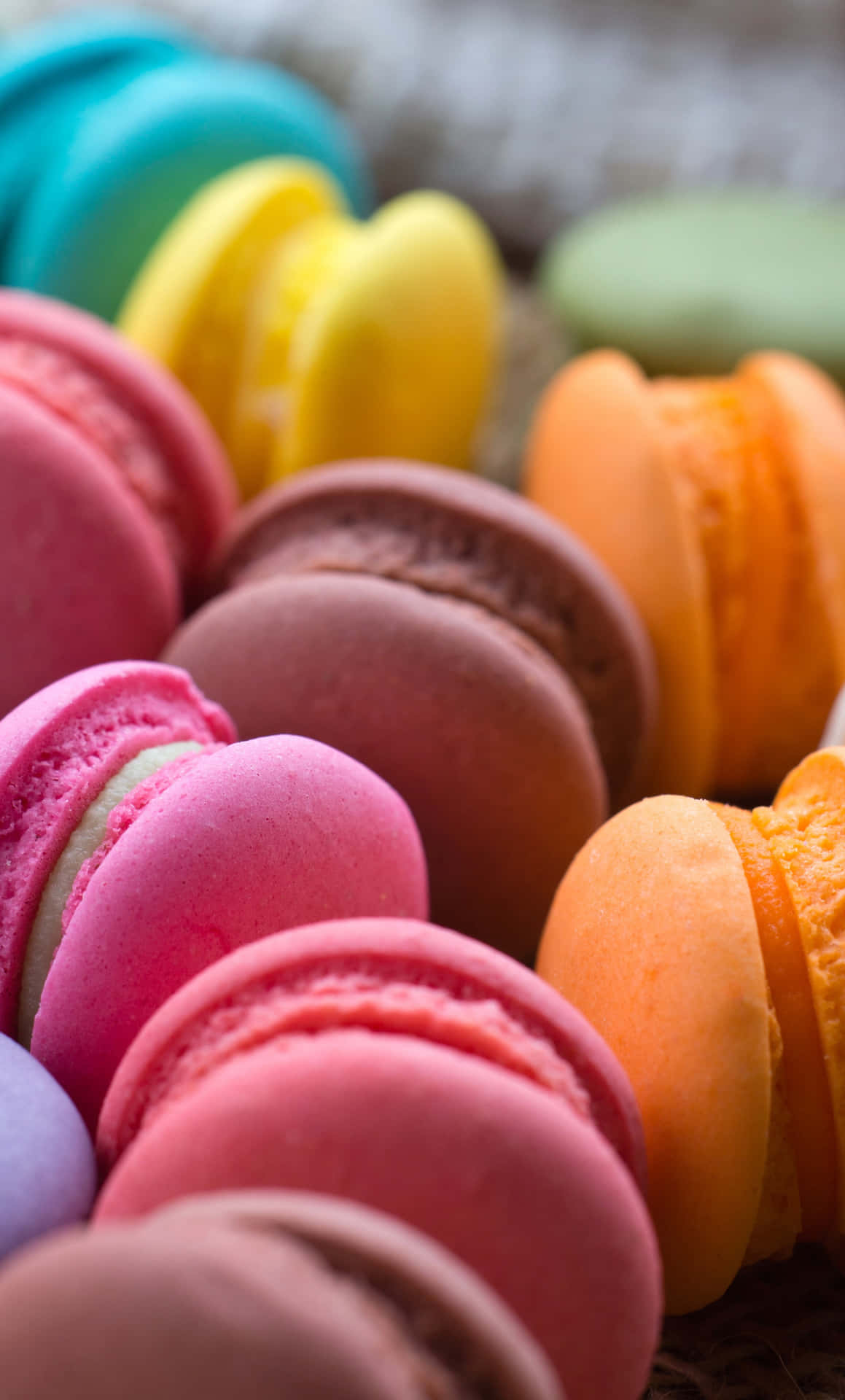 Dazzling And Vibrant Sweet Macaron 5dw7vyaedy1r814o Wallpaper