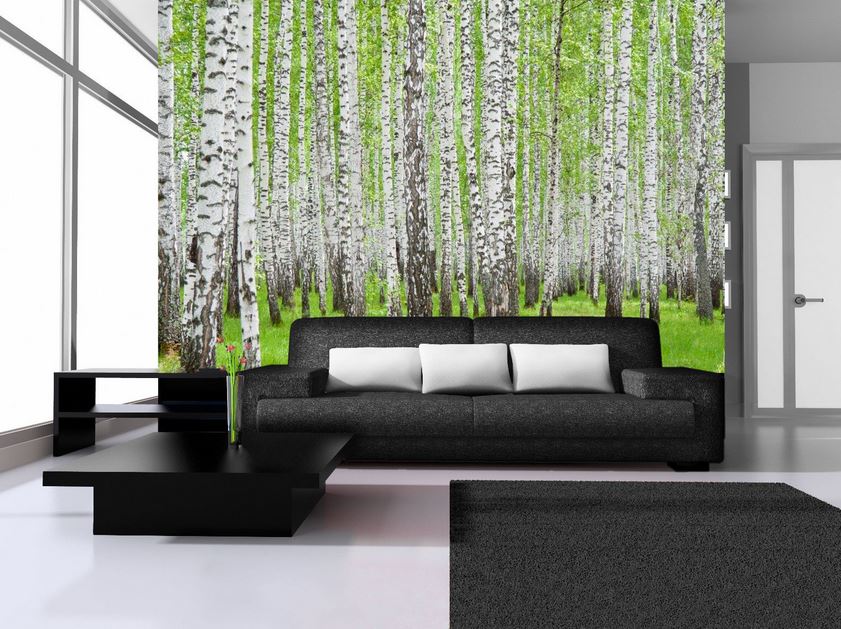 Birch Trees Wallpaper Wall Mural Home Decor Design Sustainable Living