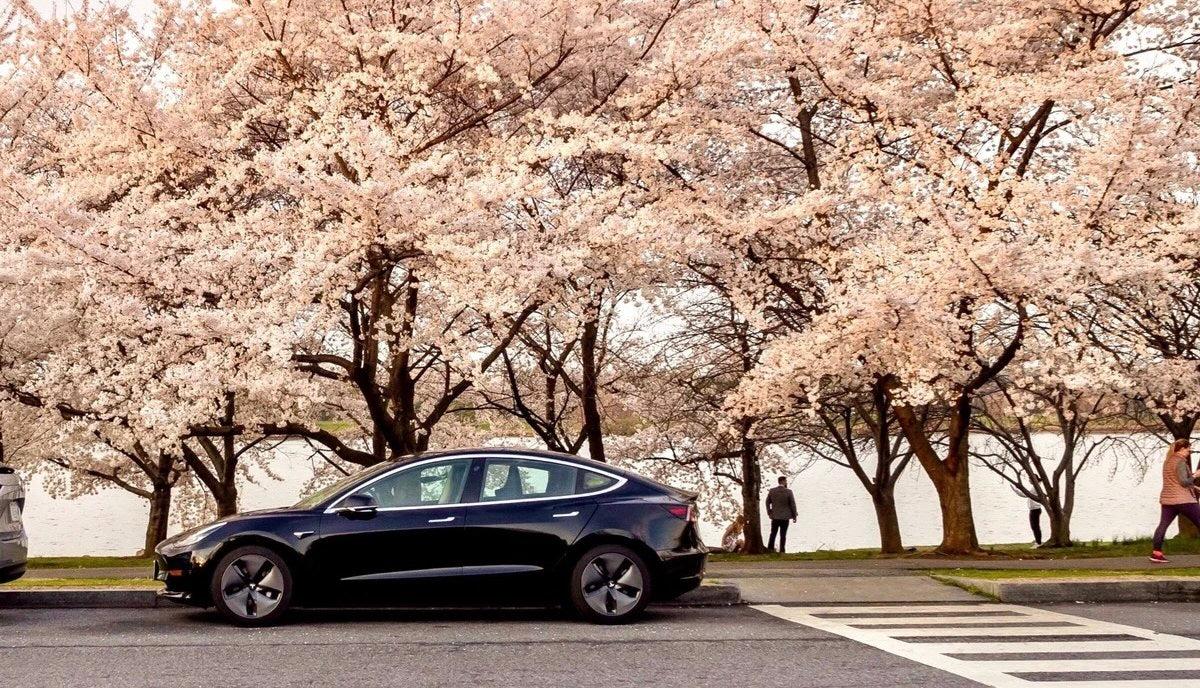 Tesla Reduces Model Prices In Japan As Sales Of Giga Shanghai Produc