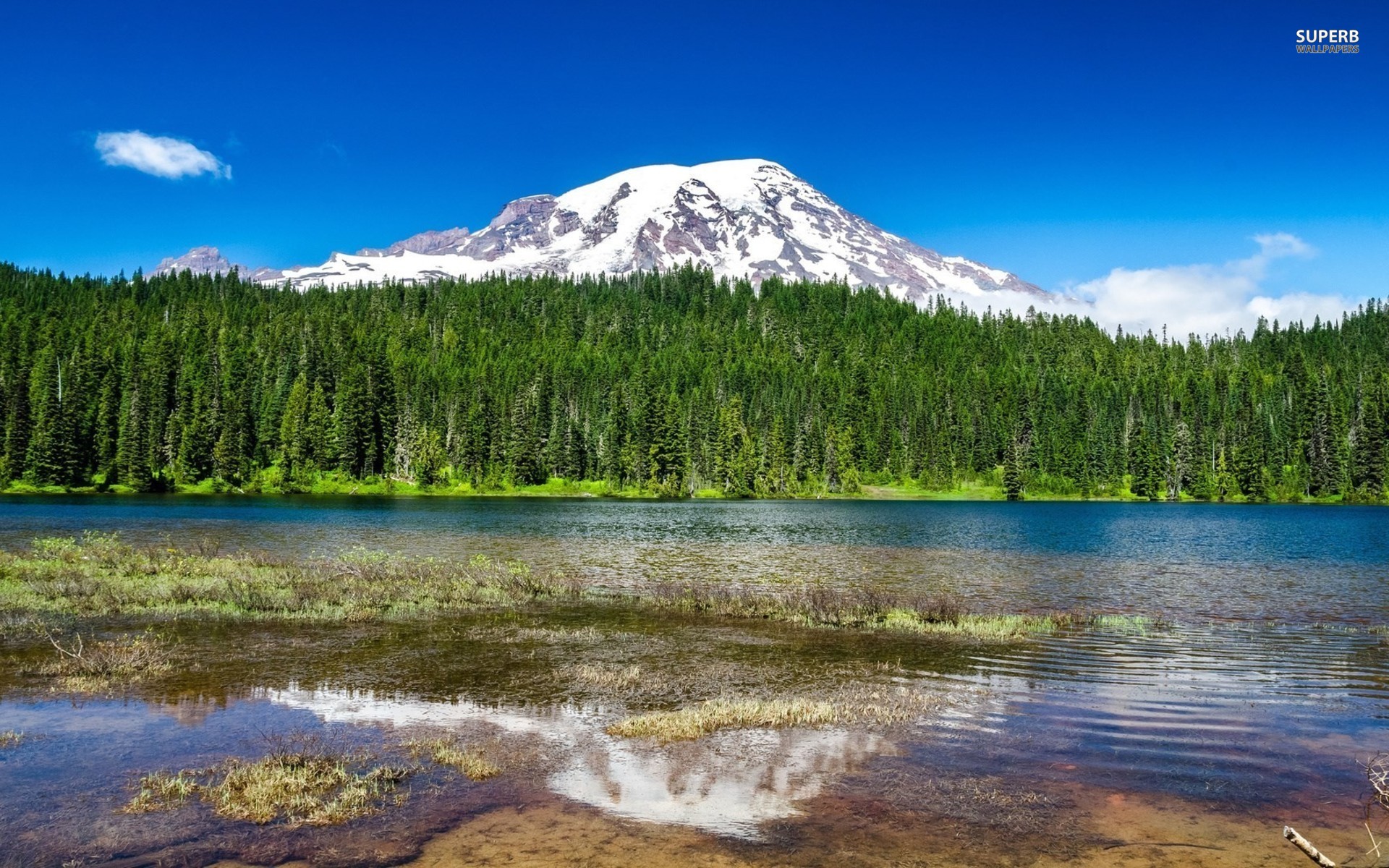 Mount Rainier Nationalpark Hintergrundbilder