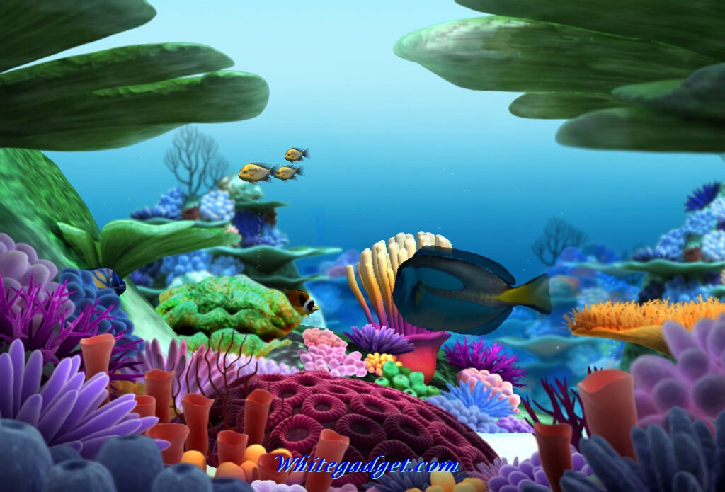 108107d1339138278 Sea Creatures Wallpaper Photo Jpg