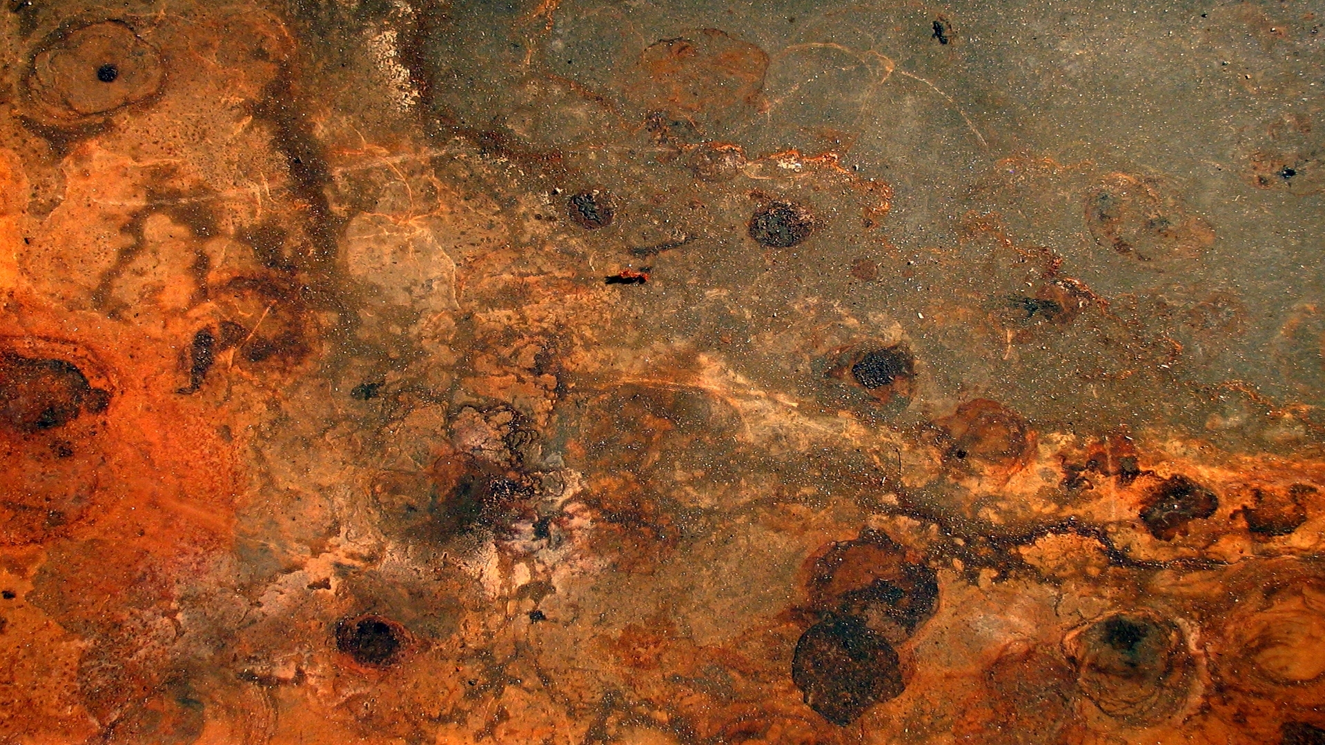 Rust Wallpaper