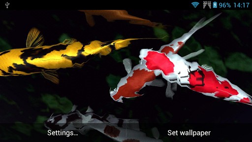 View bigger Koi Fish Live Wallpaper for Android screenshot