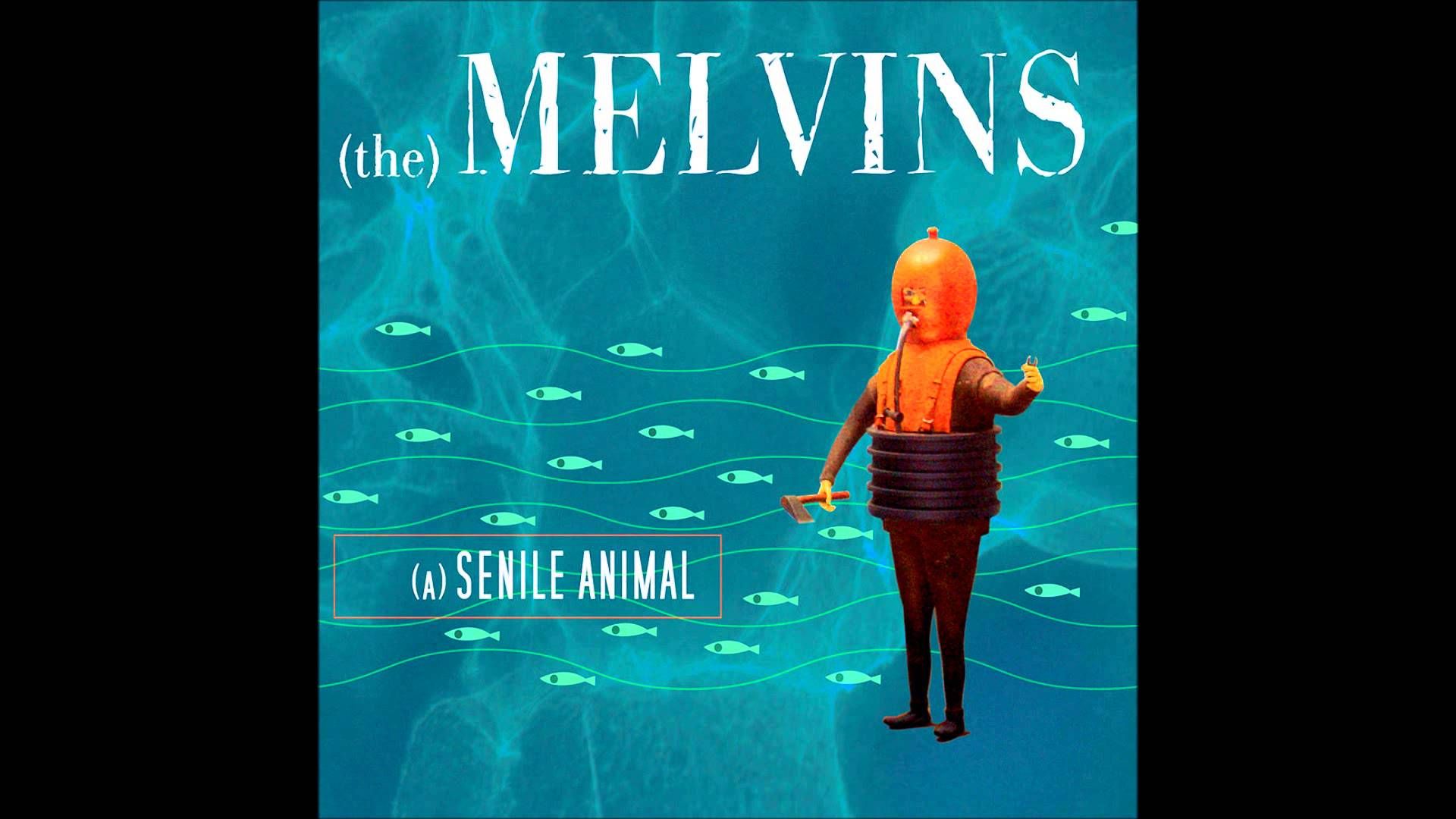 Melvins A Senile Animal Full Album HD Desert Trip