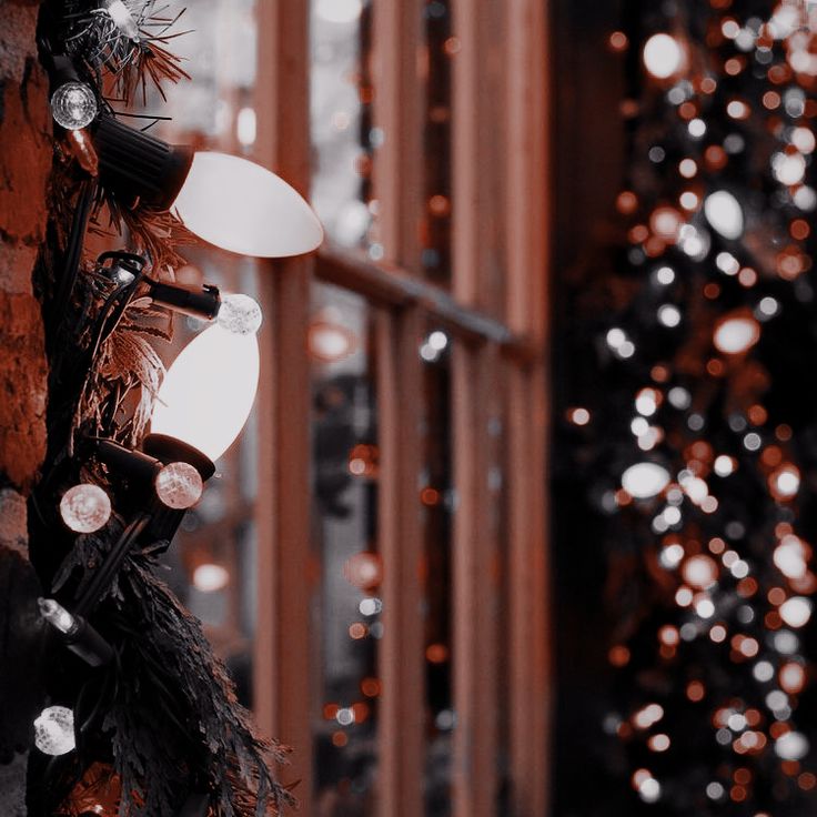 The Lights Are Hanging On Tree Outside Wallpaper