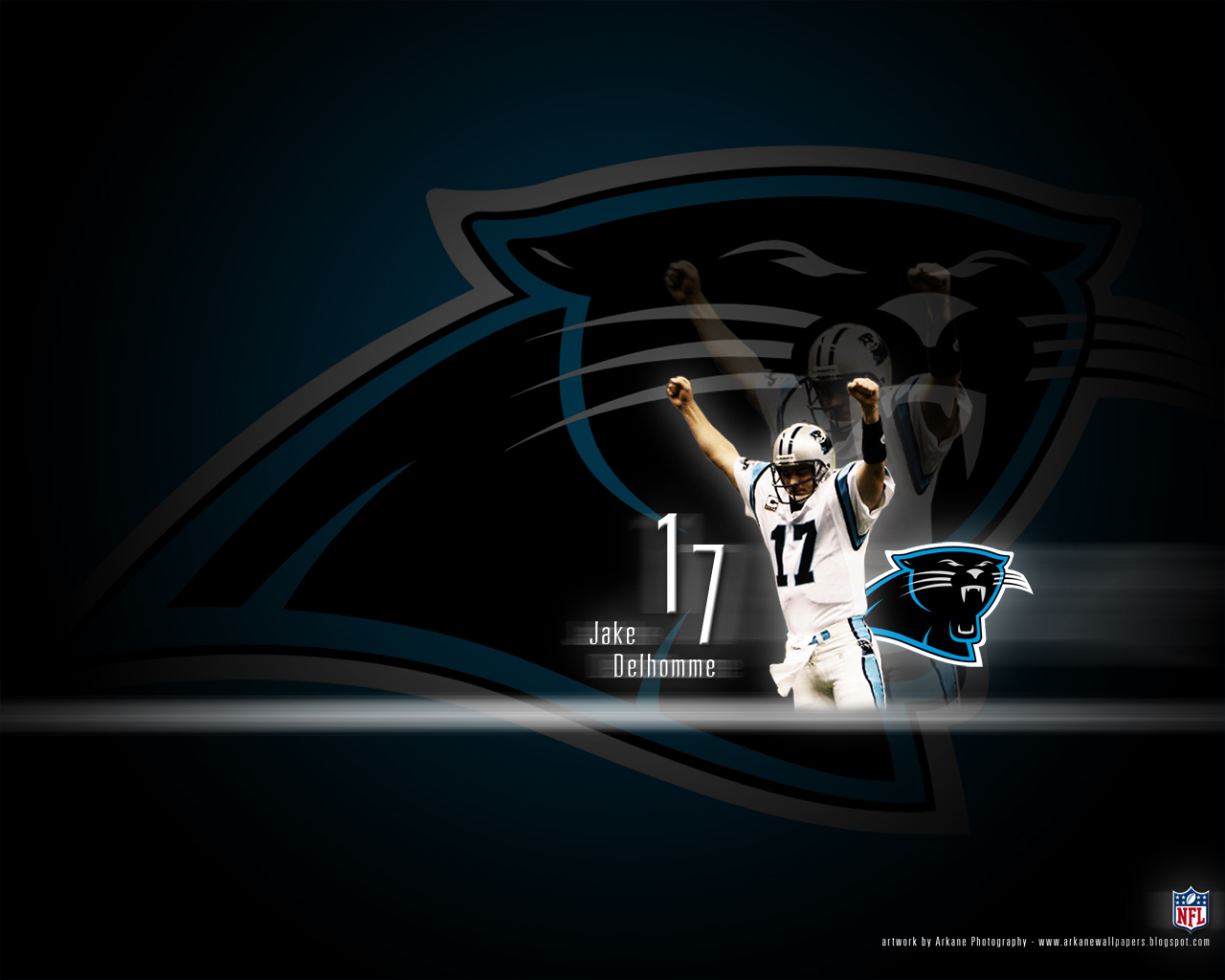 Arkane NFL Wallpapers Jake Delhomme   Carolina Panthers