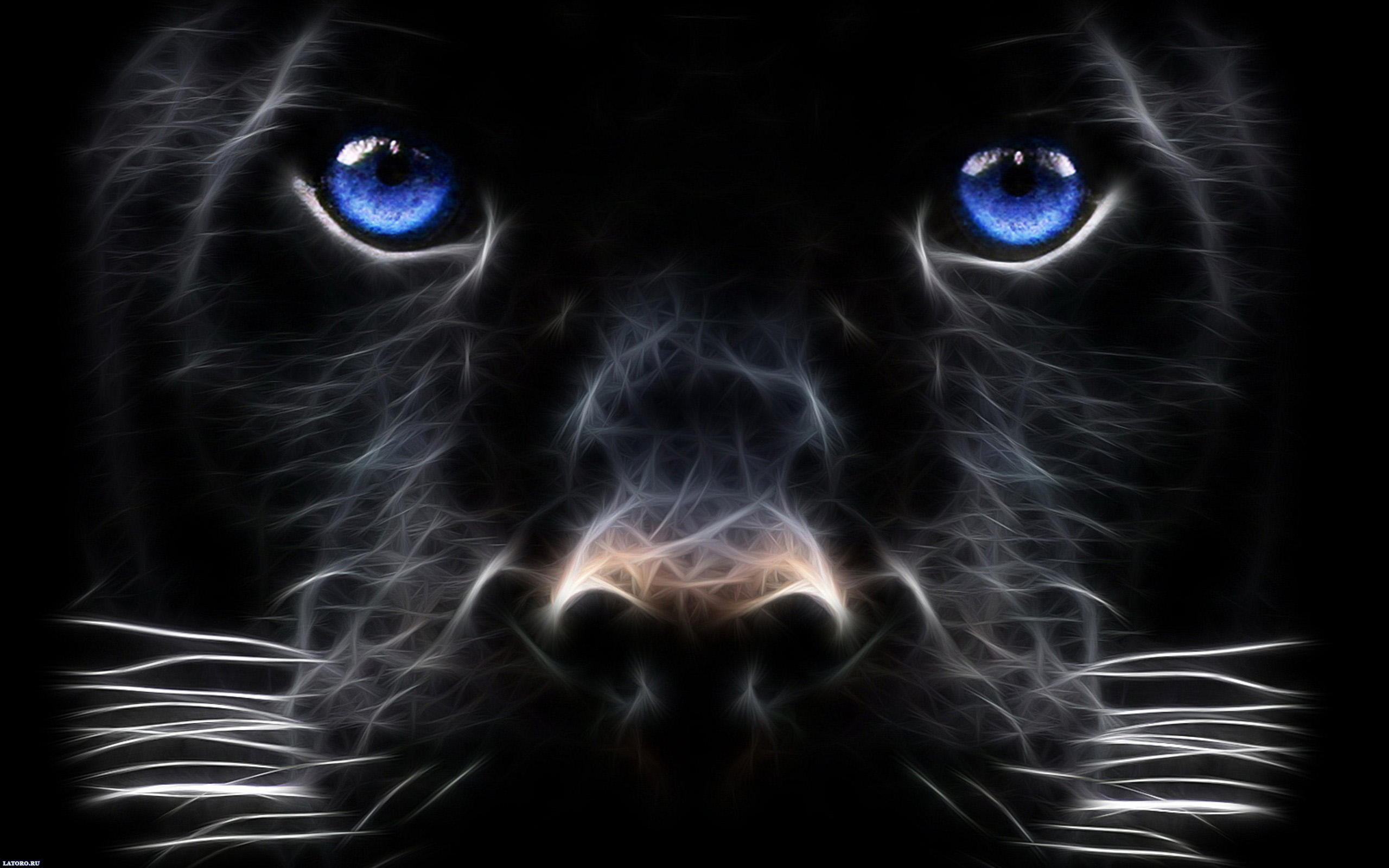 Abstract Close-up of a Black Panther with Piercing Blue Eyes