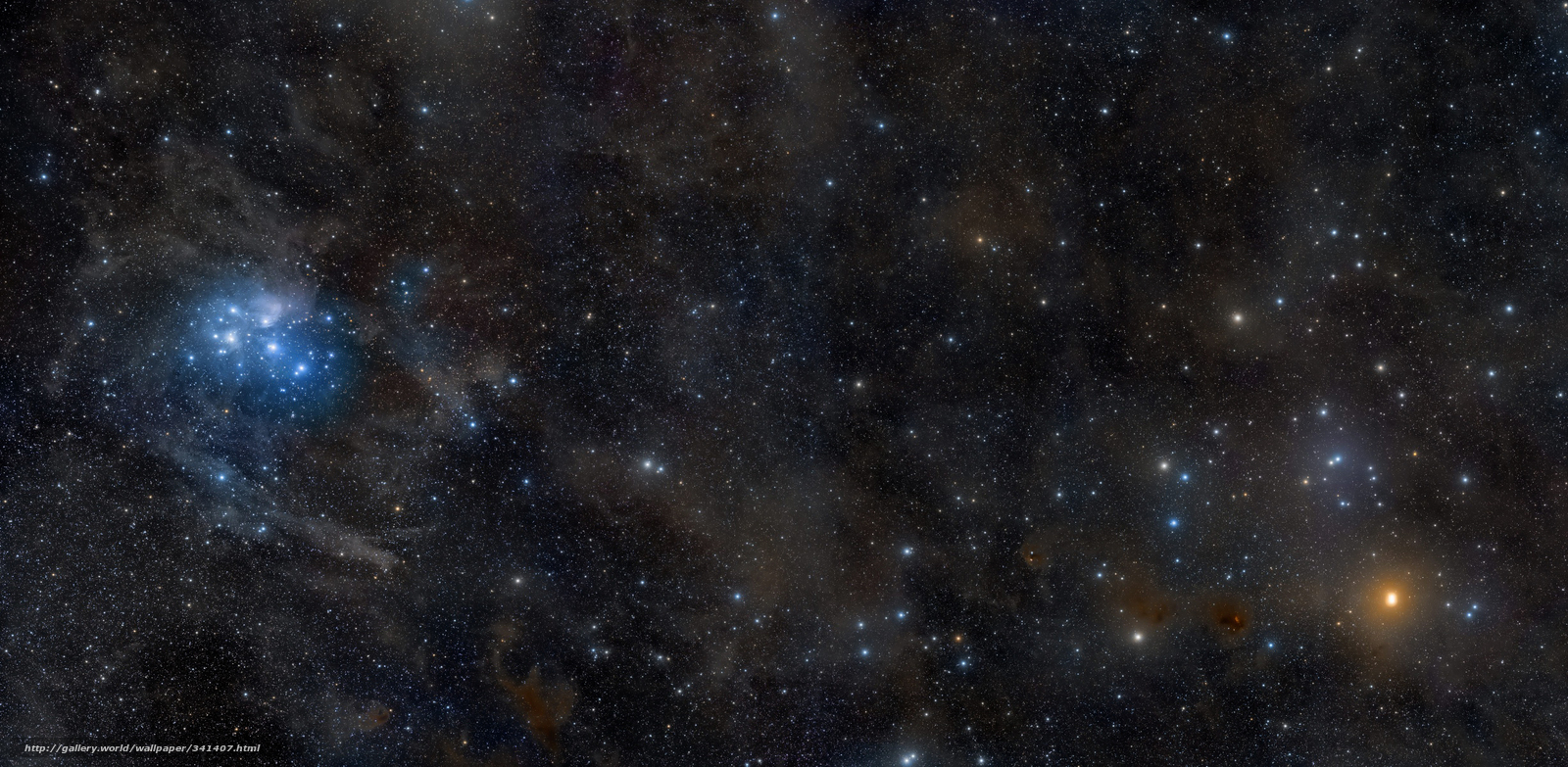 Wallpaper Pleiades Hyades Constellation Calf