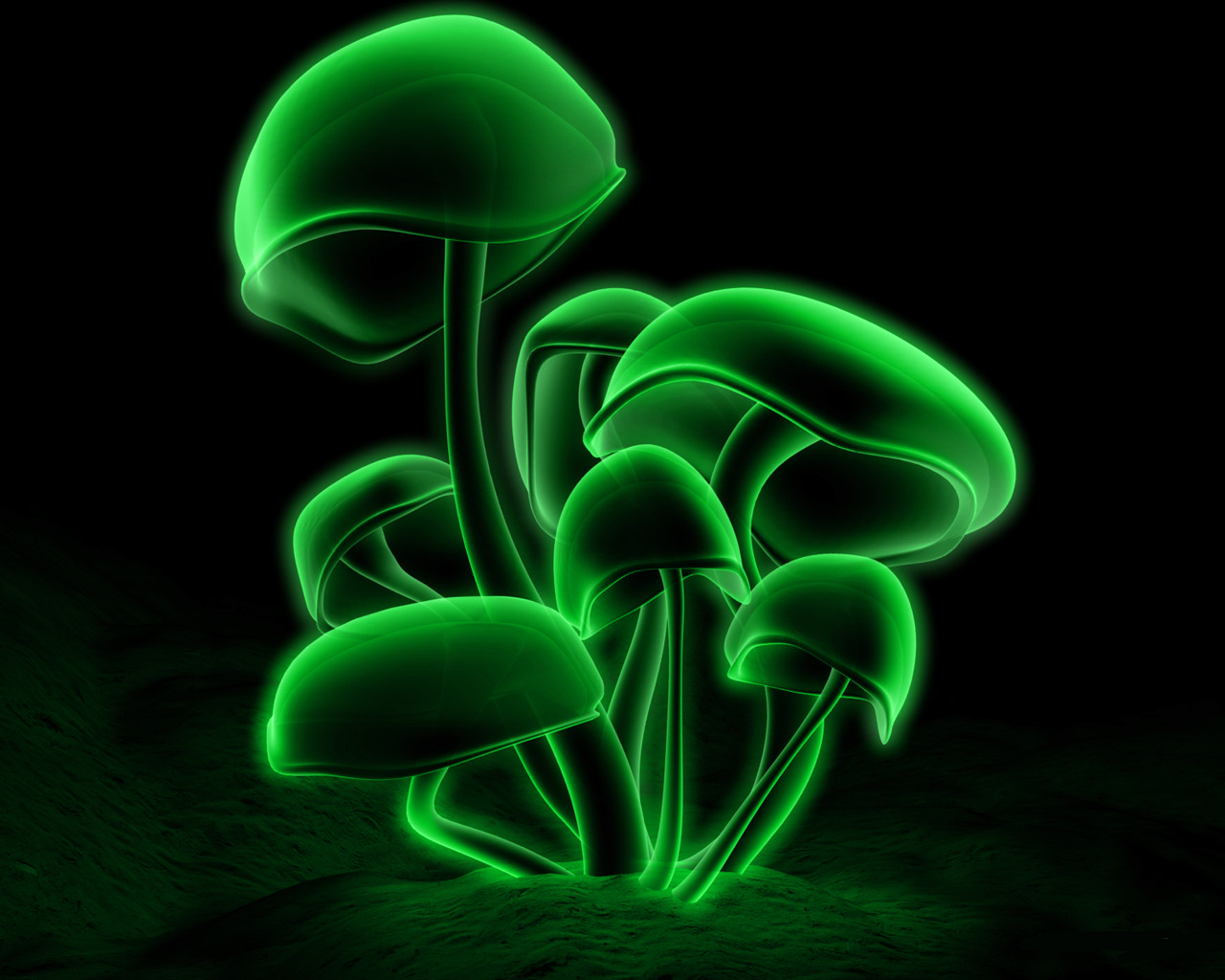 Wnp Wallpaper Pictures Green Mushroom