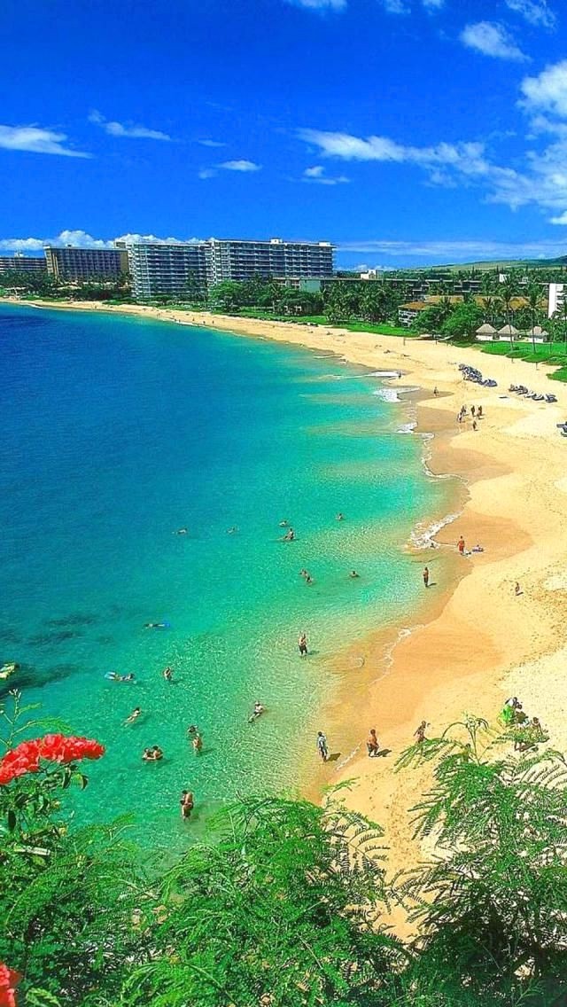 Hawaii Beach Wallpaper HD 640x1136