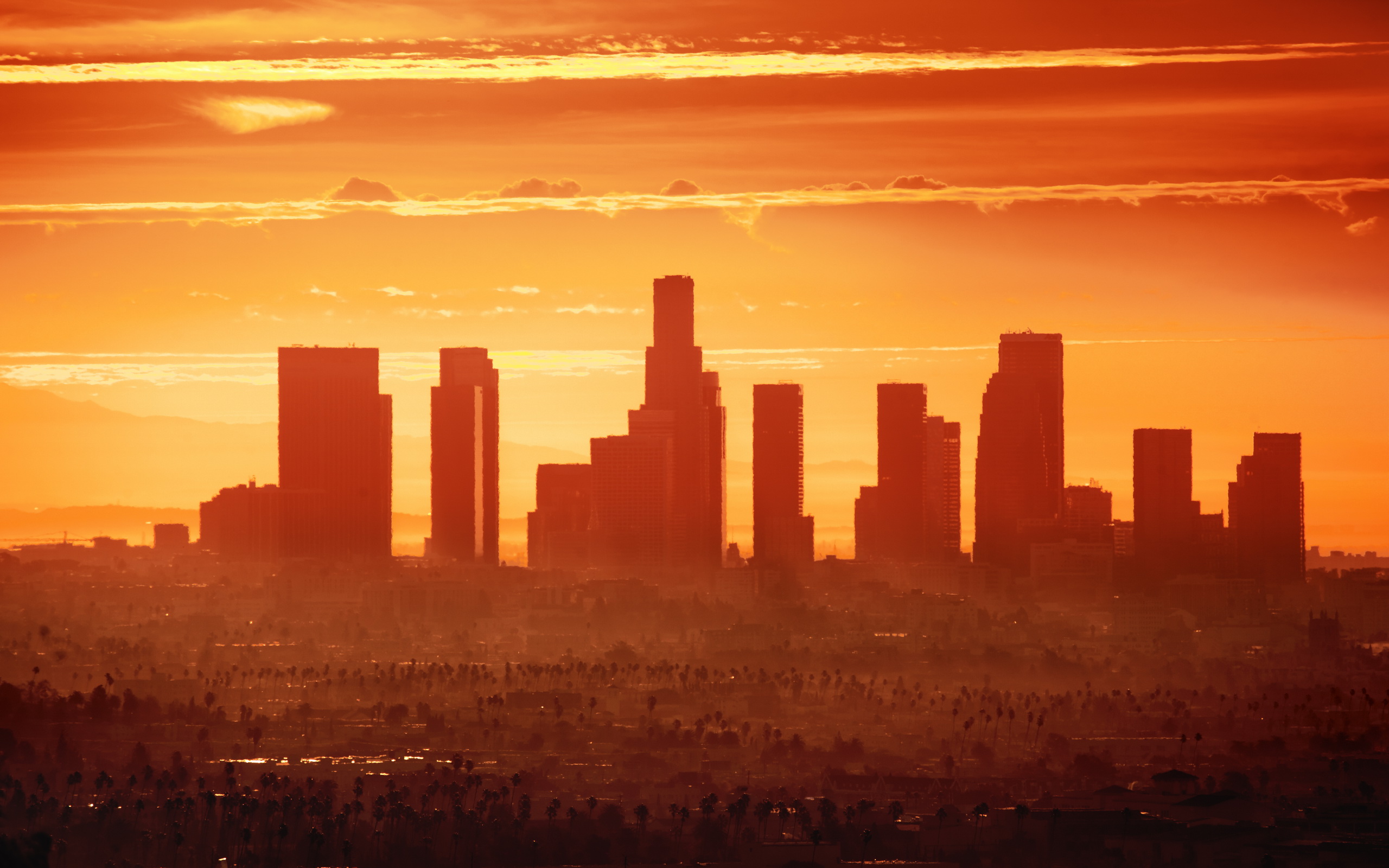 Los Angeles Wallpaper   Heat Waves In City   2560x1600 Wallpaper
