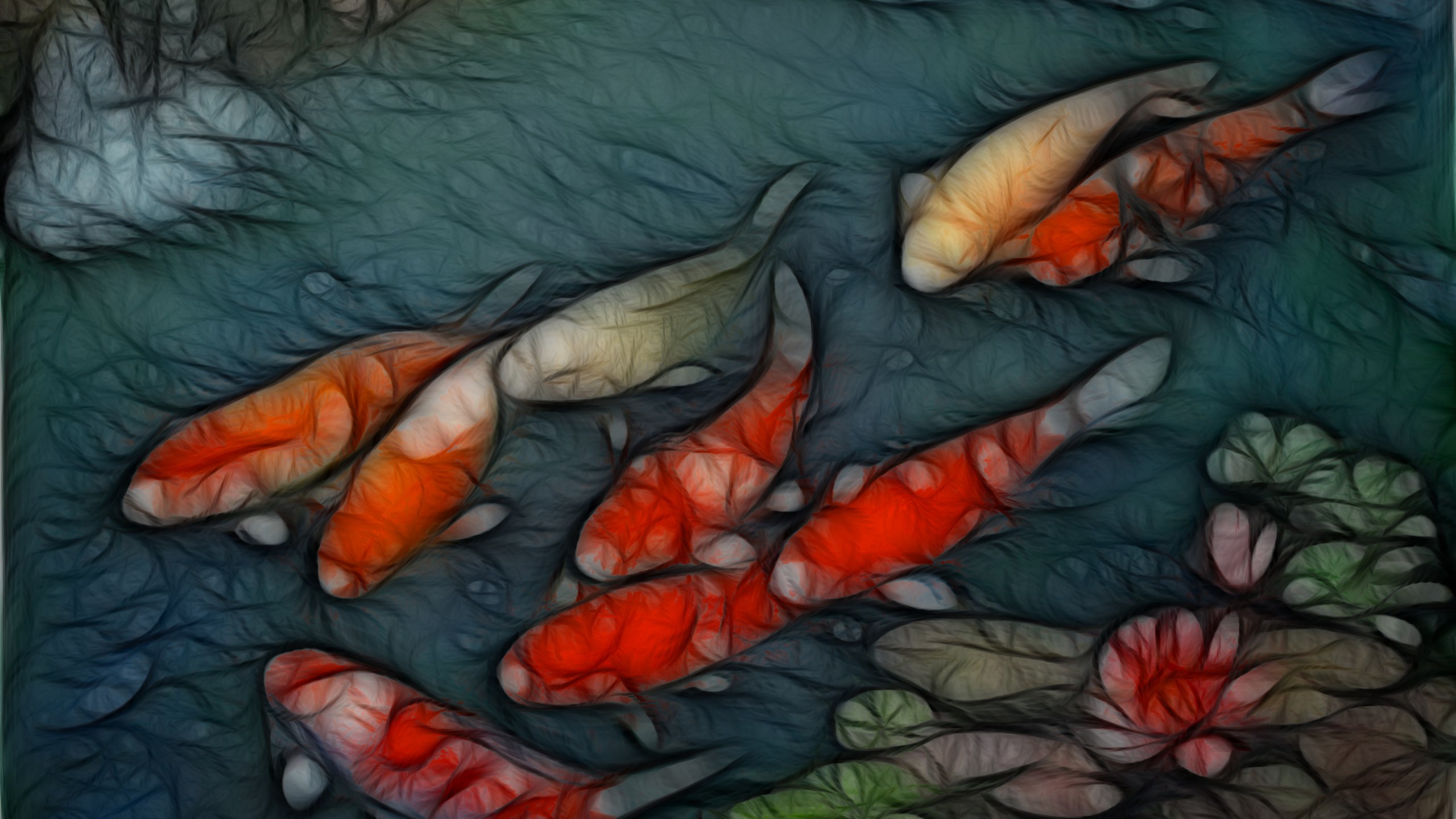 Free download Koi Fish Wallpapers [2594x1674] for your Desktop, Mobile