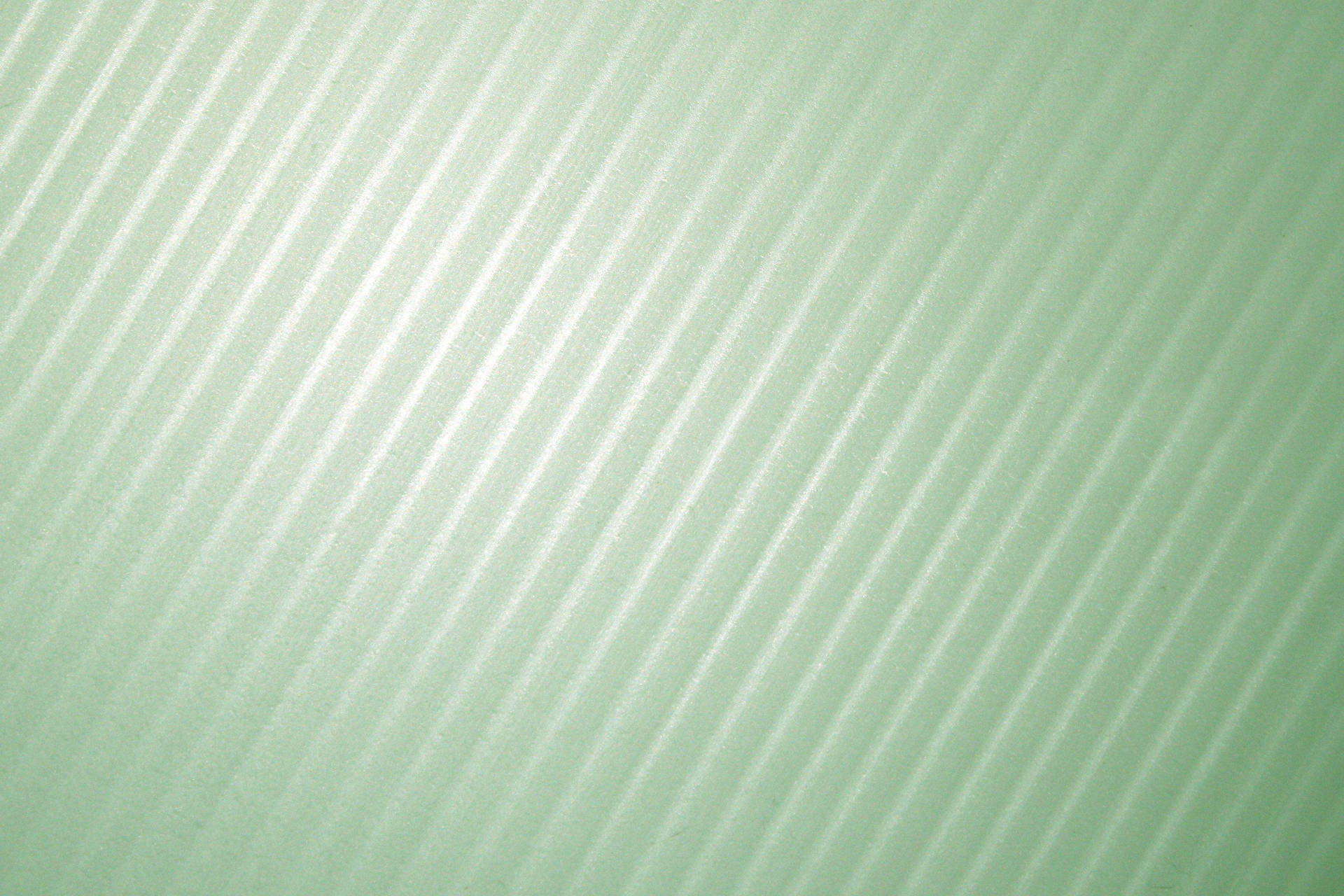 Sage Green Aesthetic Wallpaper