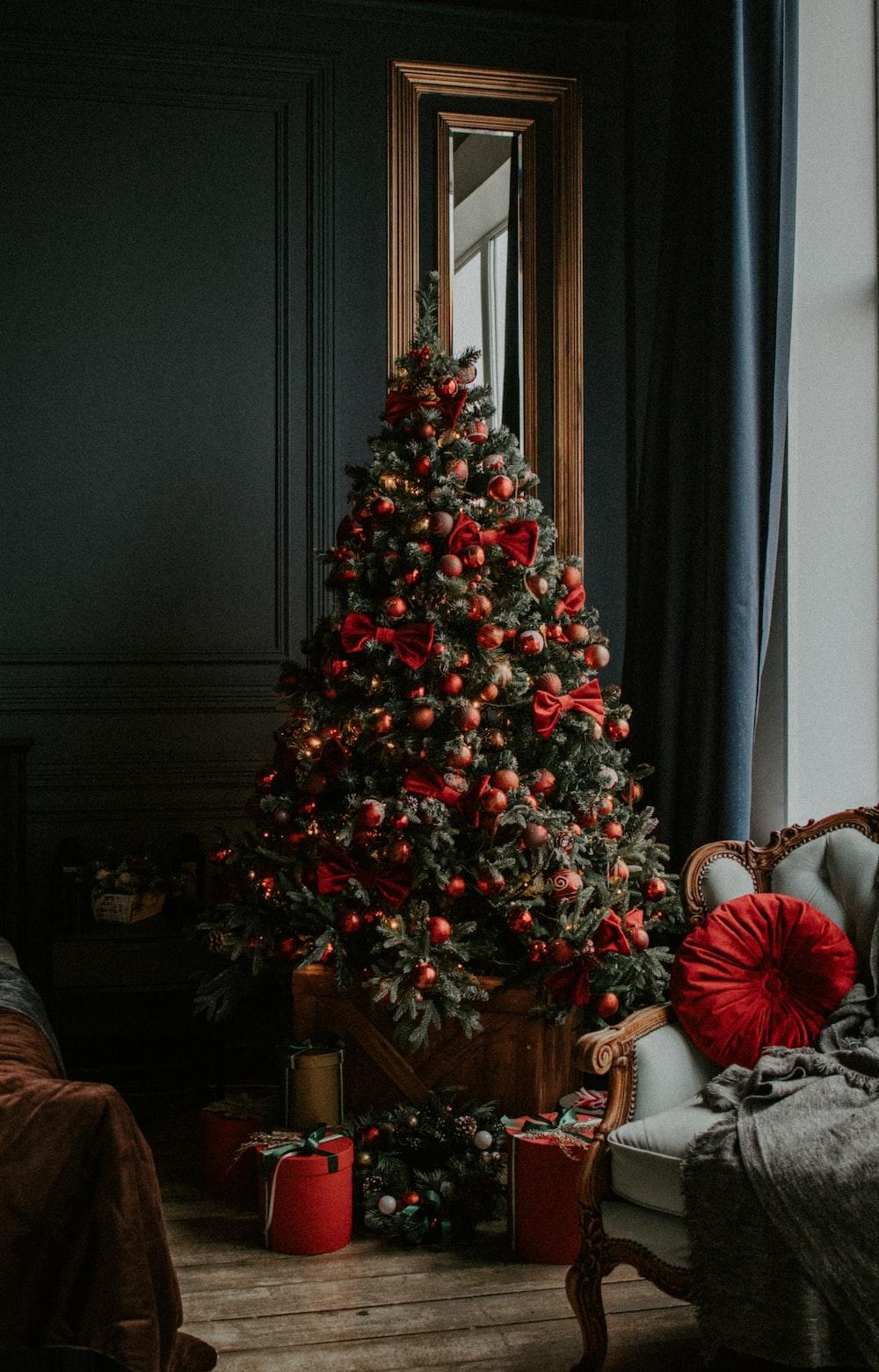 Christmas Tree Pictures Hq Image