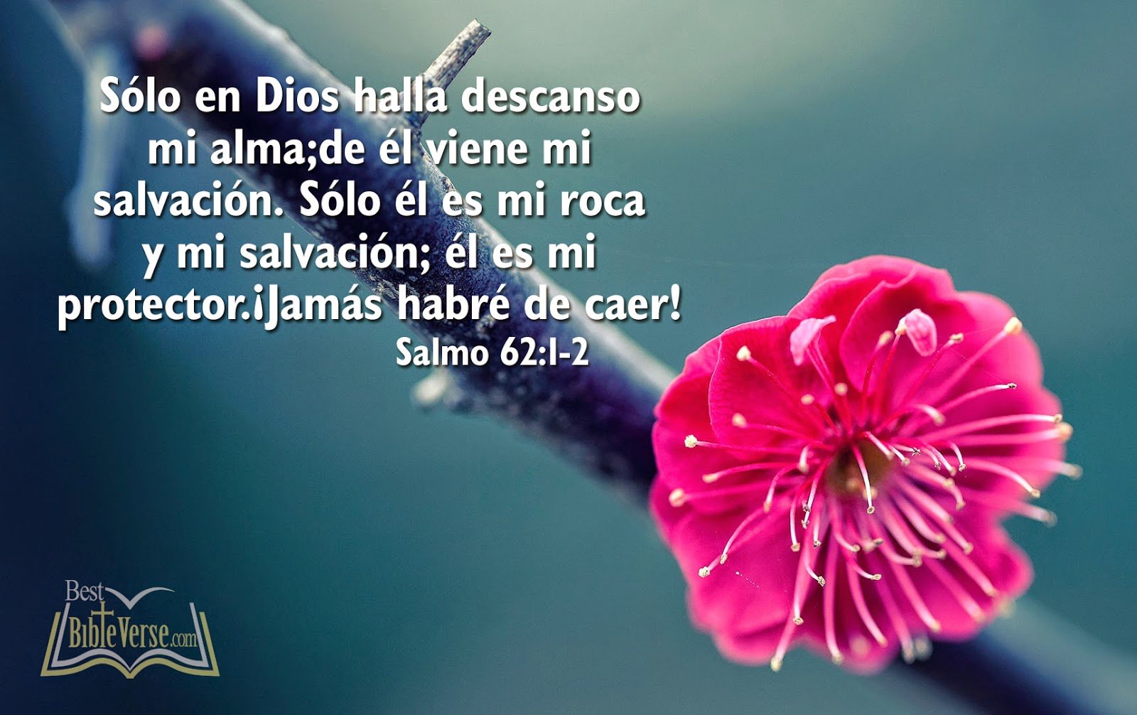 Free download best spanish bible verse wallpapers nice spanish bible images  [1600x1006] for your Desktop, Mobile & Tablet | Explore 46+ Wallpapers in  Spanish | Spanish Flag Wallpaper, Love Wallpapers in Spanish,