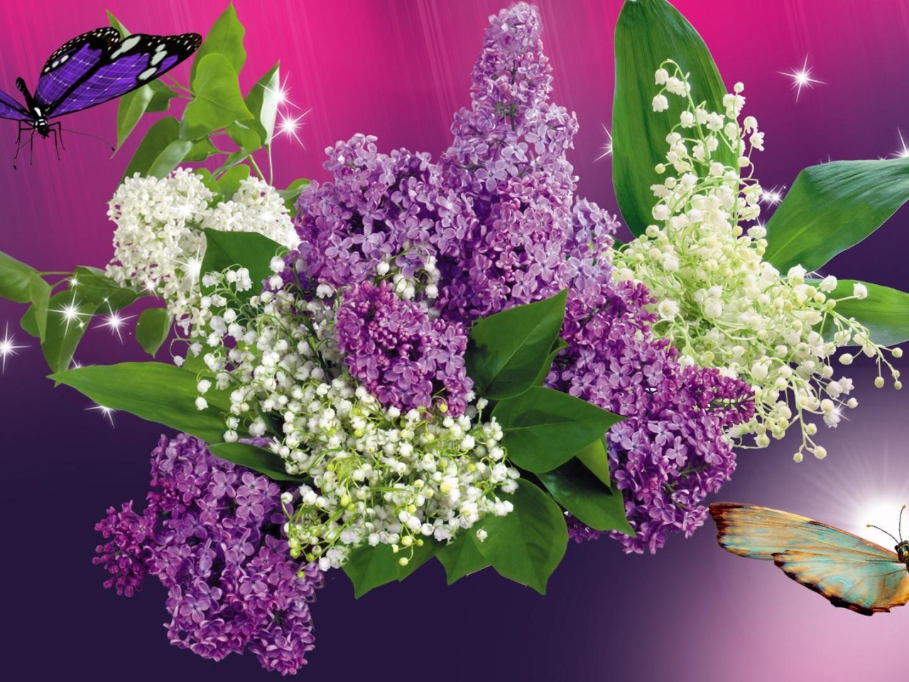 Lilacs Butterflies HD desktop wallpaper Widescreen High Definition