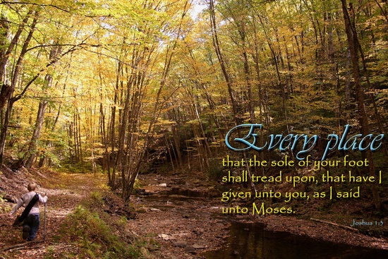 Christian Wallpaper   KJV Scripture and Nature Photography by 550x367