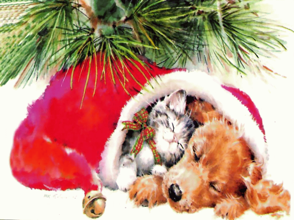 Free Desktop wallpaper for Cat lovers Free Christmas Wallpapaer