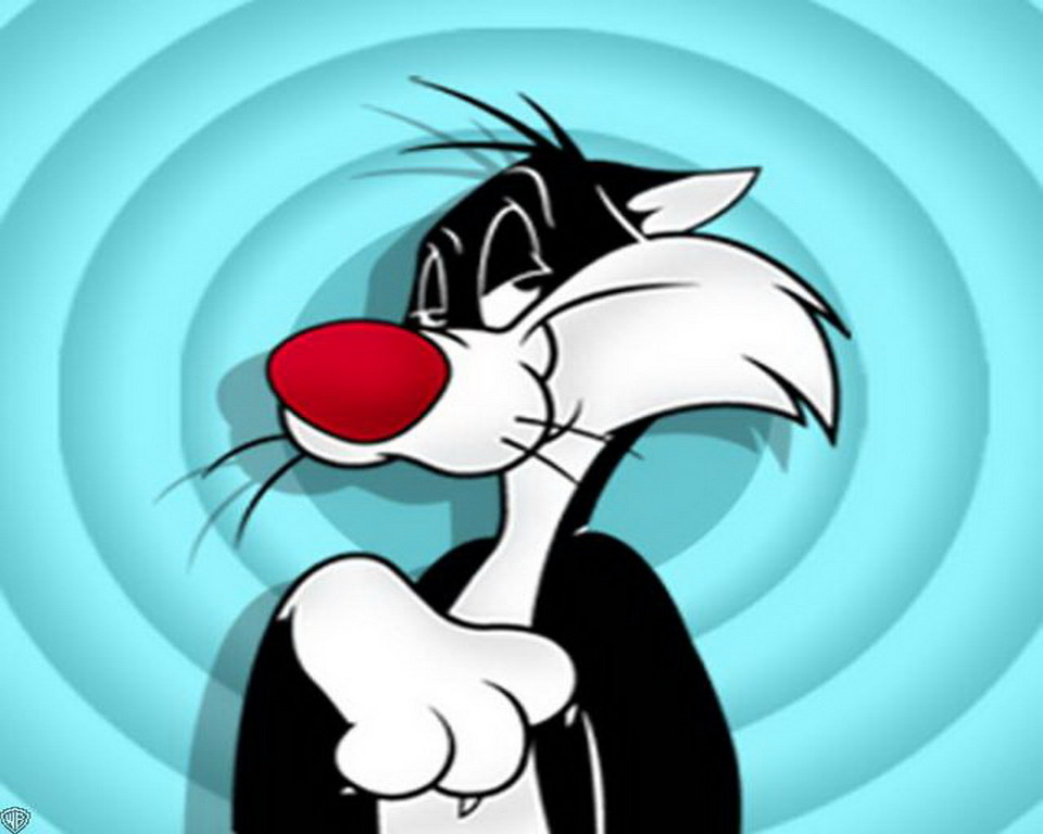 Looney Tunes Character Sylvester Wallpaper Pictures 960x768