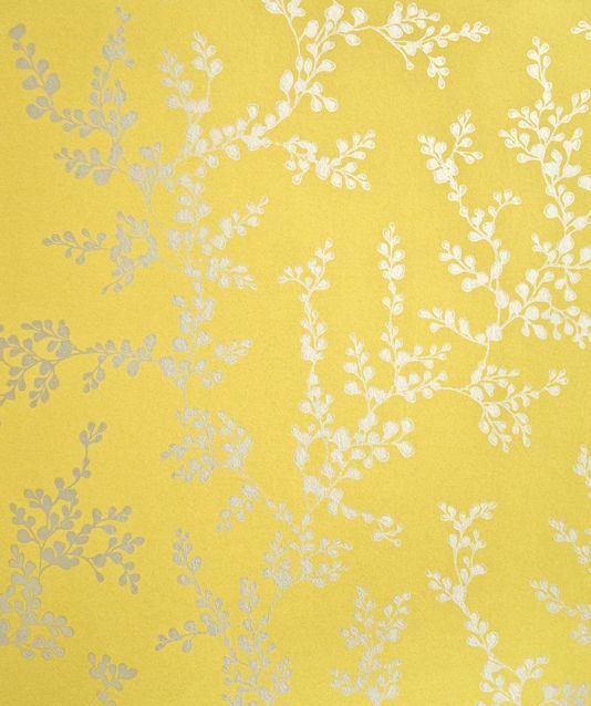 Ferns Floral Prints Shops Wallpaper Metals