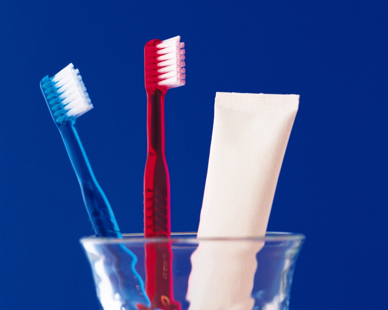 Free download Related wallpapers food drink toothbrush and paste in