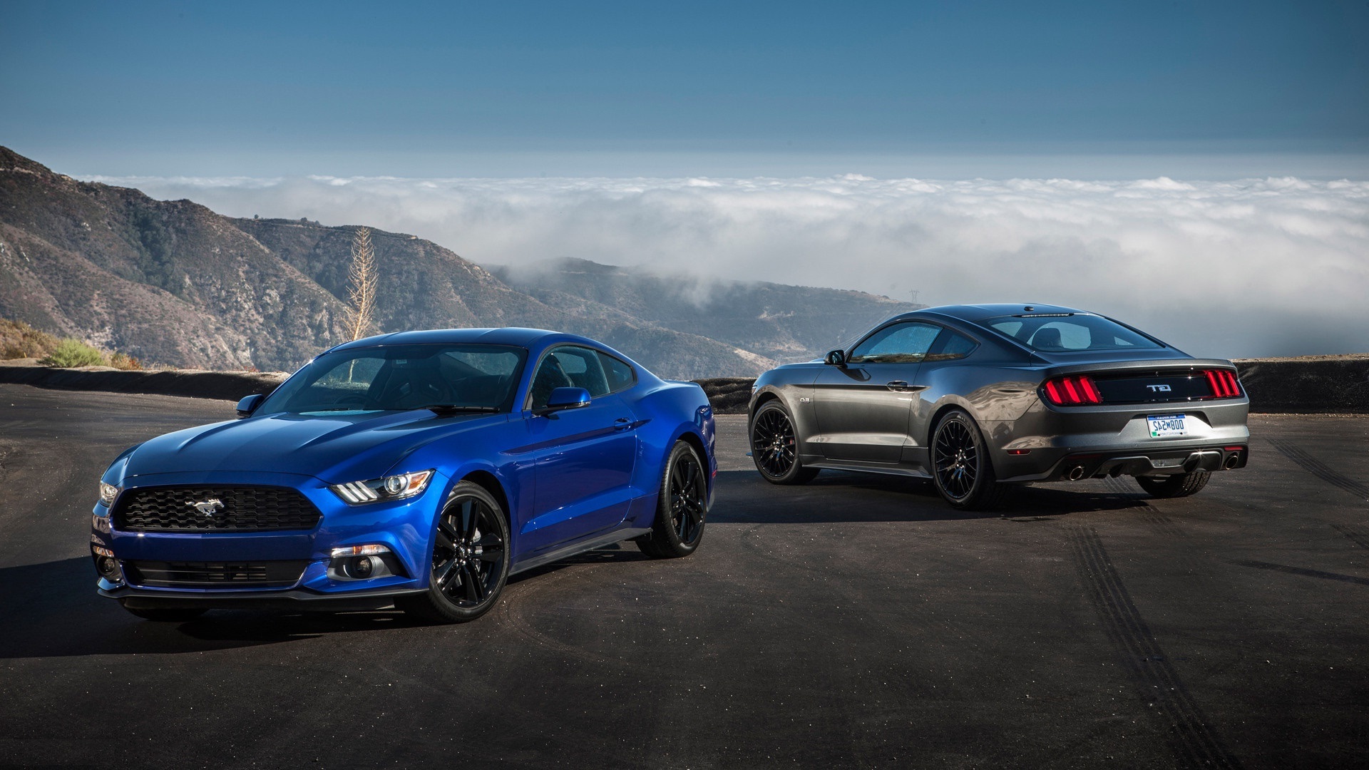 HD Ford Boss Mustang Wallpaper Image Shelby