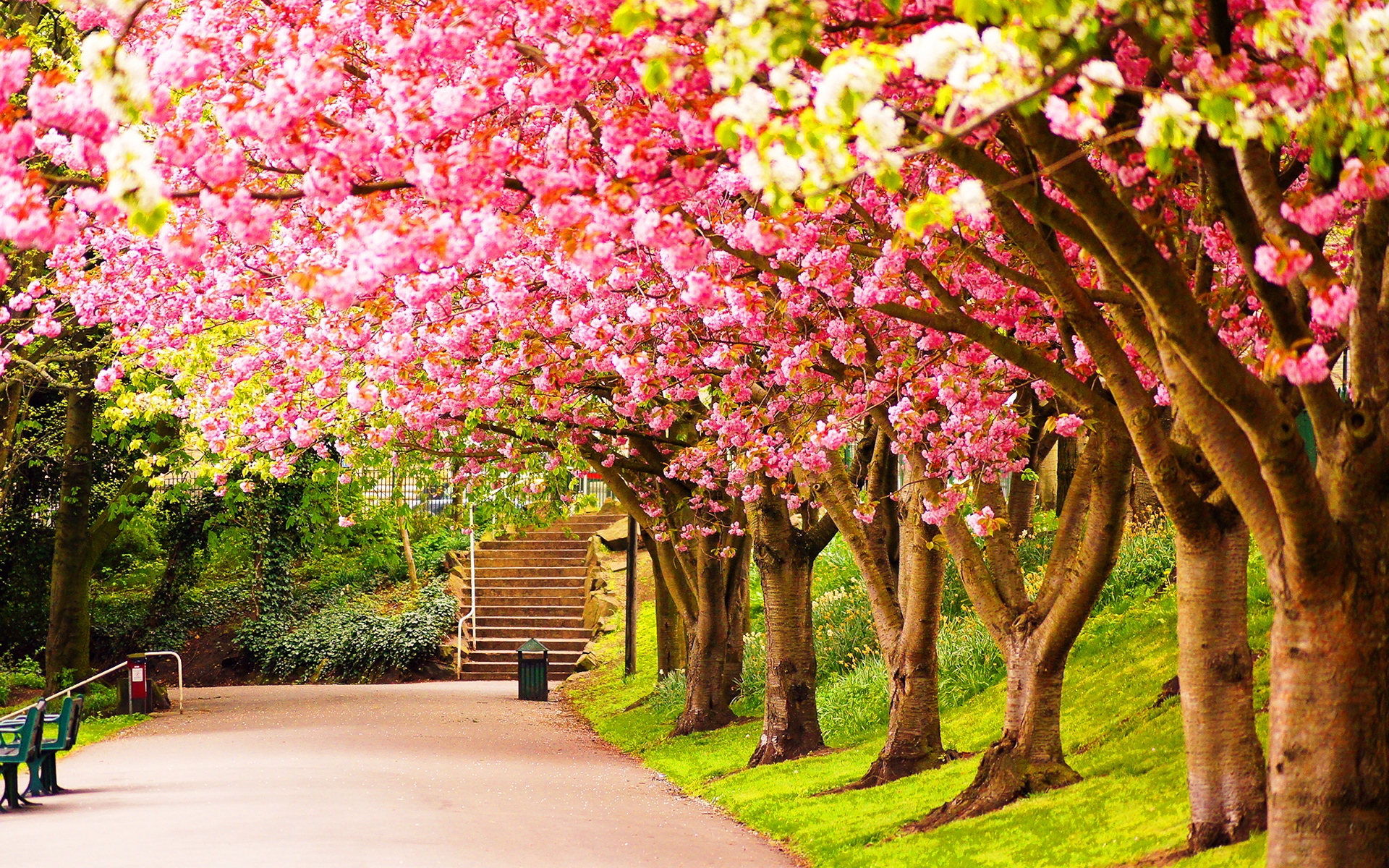 Spring Background Wallpaper Sf