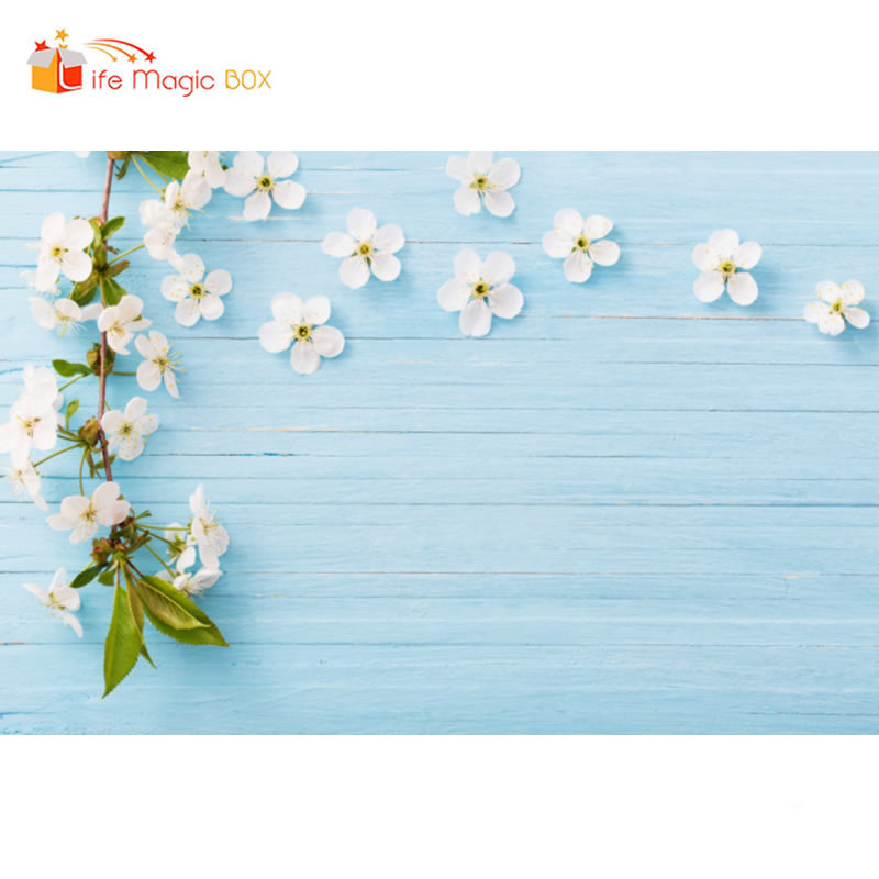 Life Magic Box Background Photography Studio Baby Blue Wood Floral