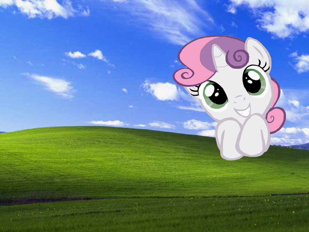 Free download windows xp bliss wallpaper location [1032x774] for your