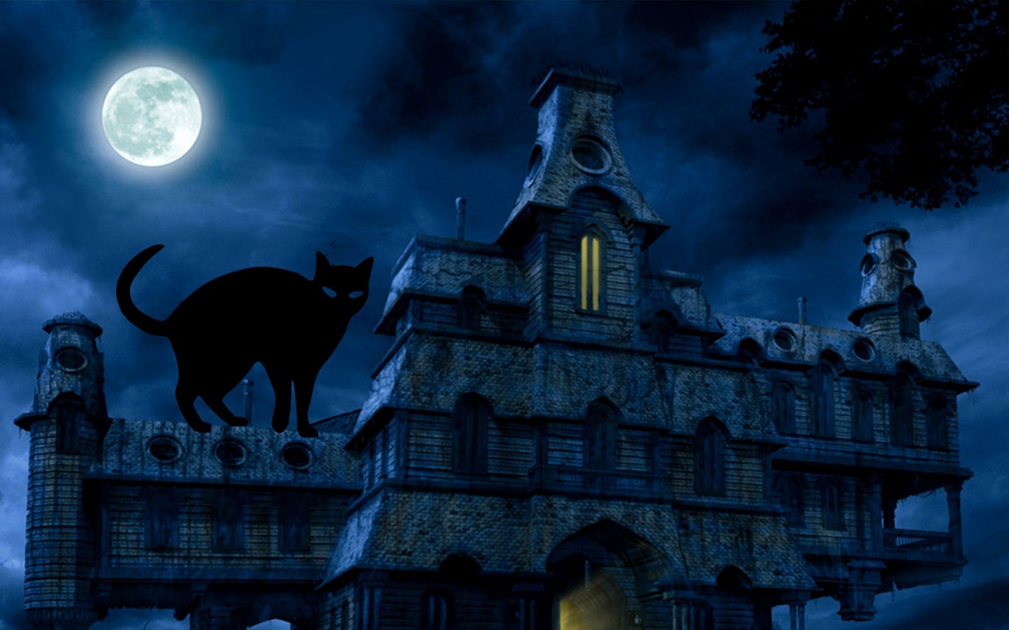 Halloween Black Cat HD Desktop Wallpaper Baltana