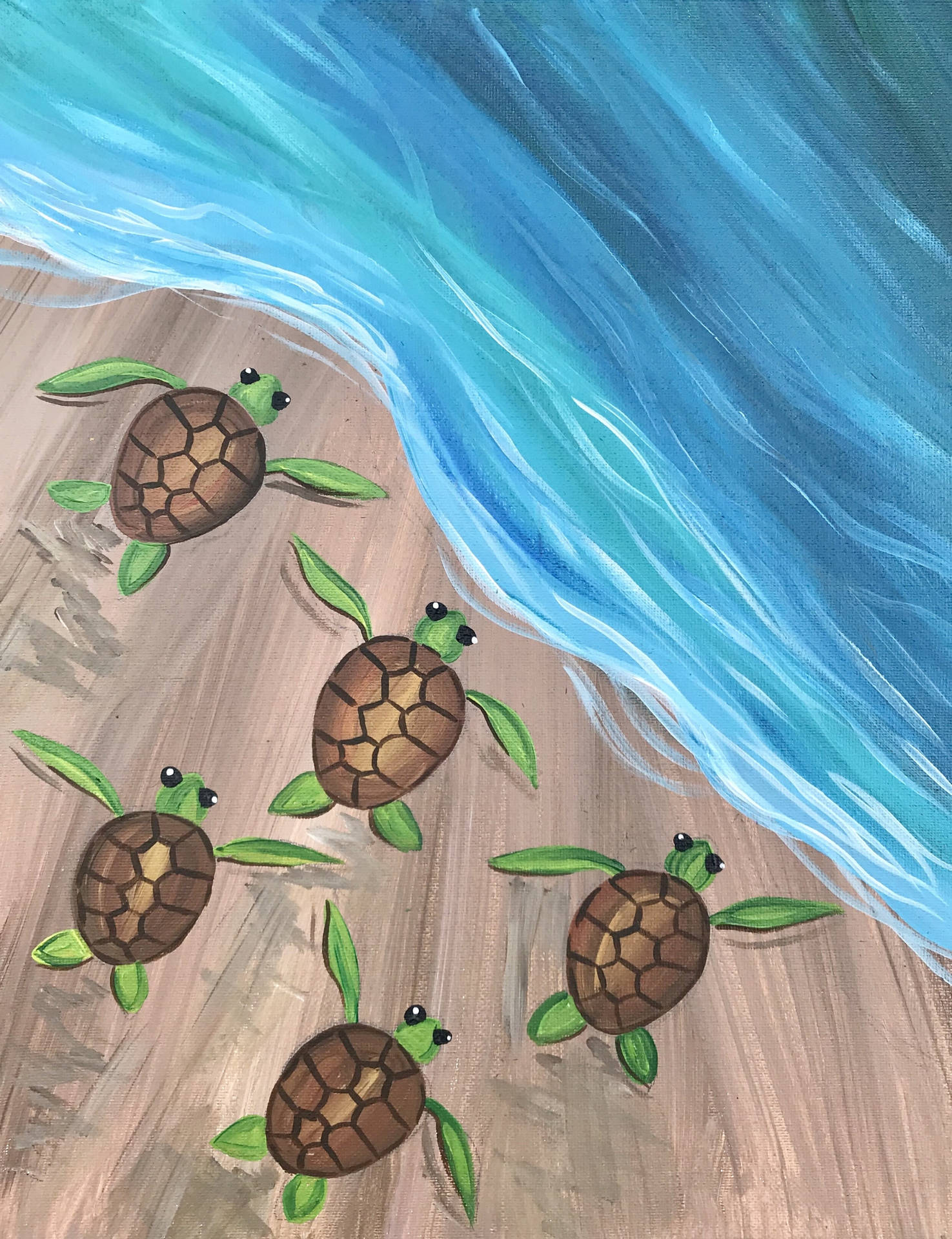 Cute Turtle Wallpaper