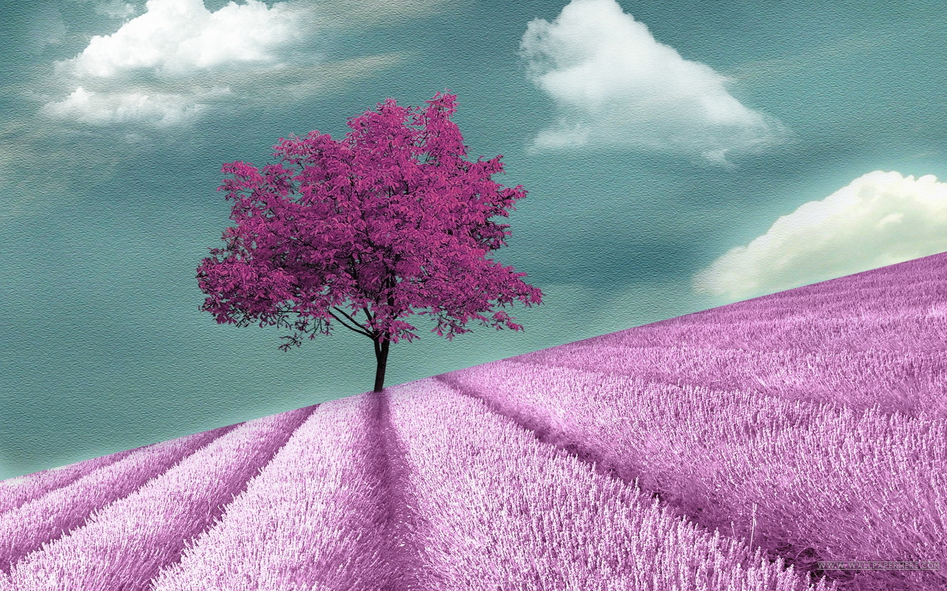 Purple Tree HD Wallpaper