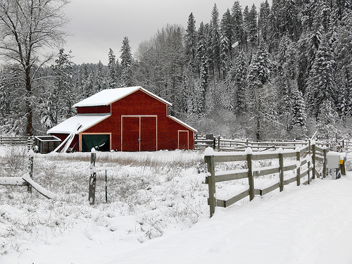 Idyllic A Perfect Wintery Scene Near Coeur D Alene Idaho