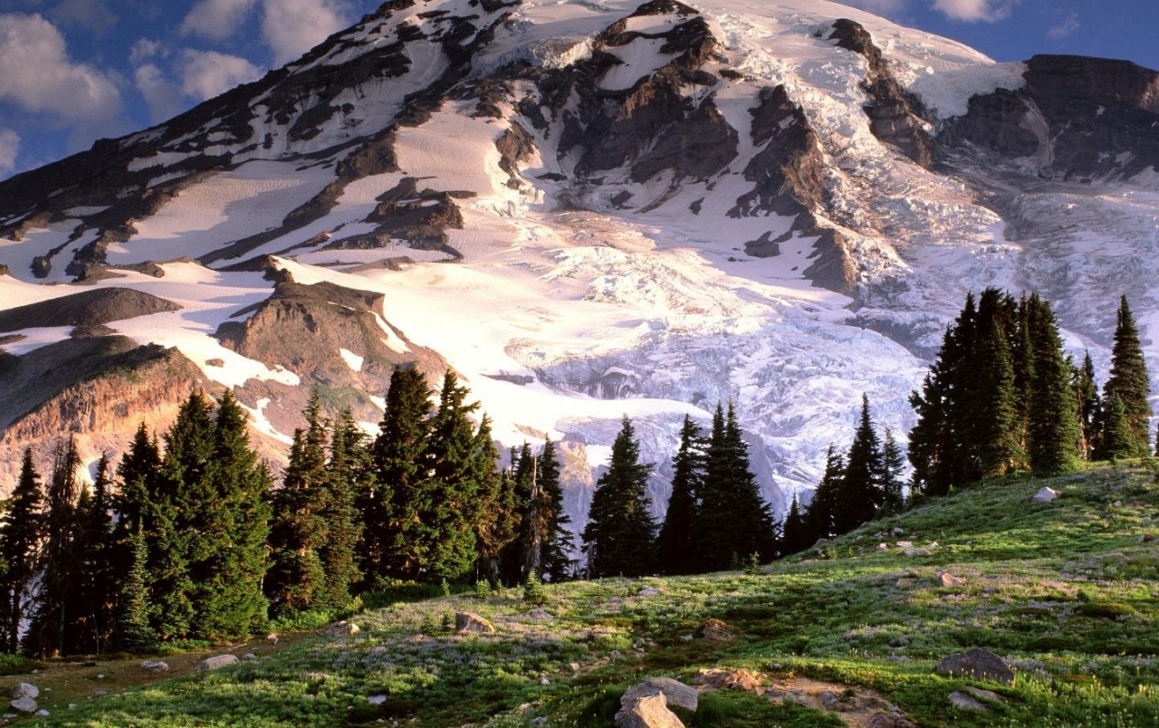 Mount Rainier National Park Wallpaper