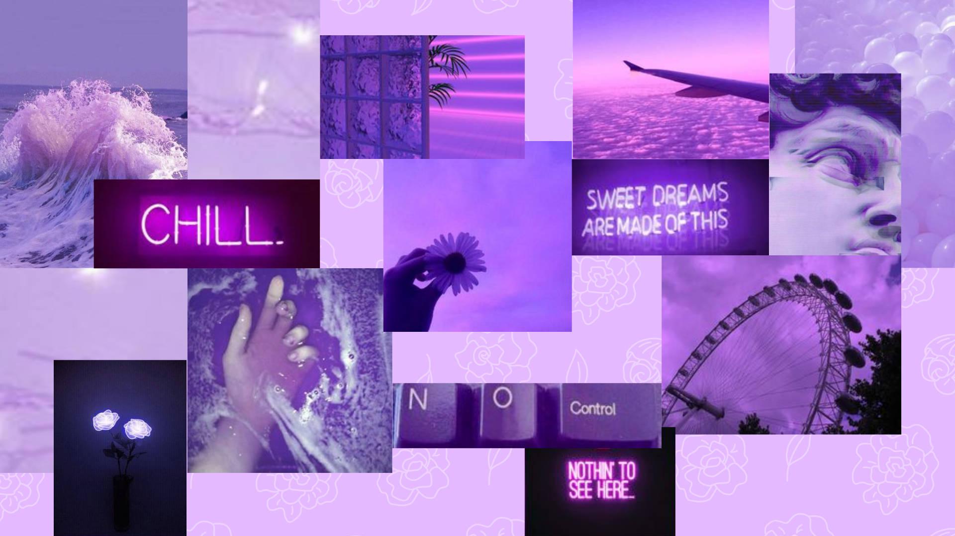 Download Lavender Aesthetic Collage Wallpaper