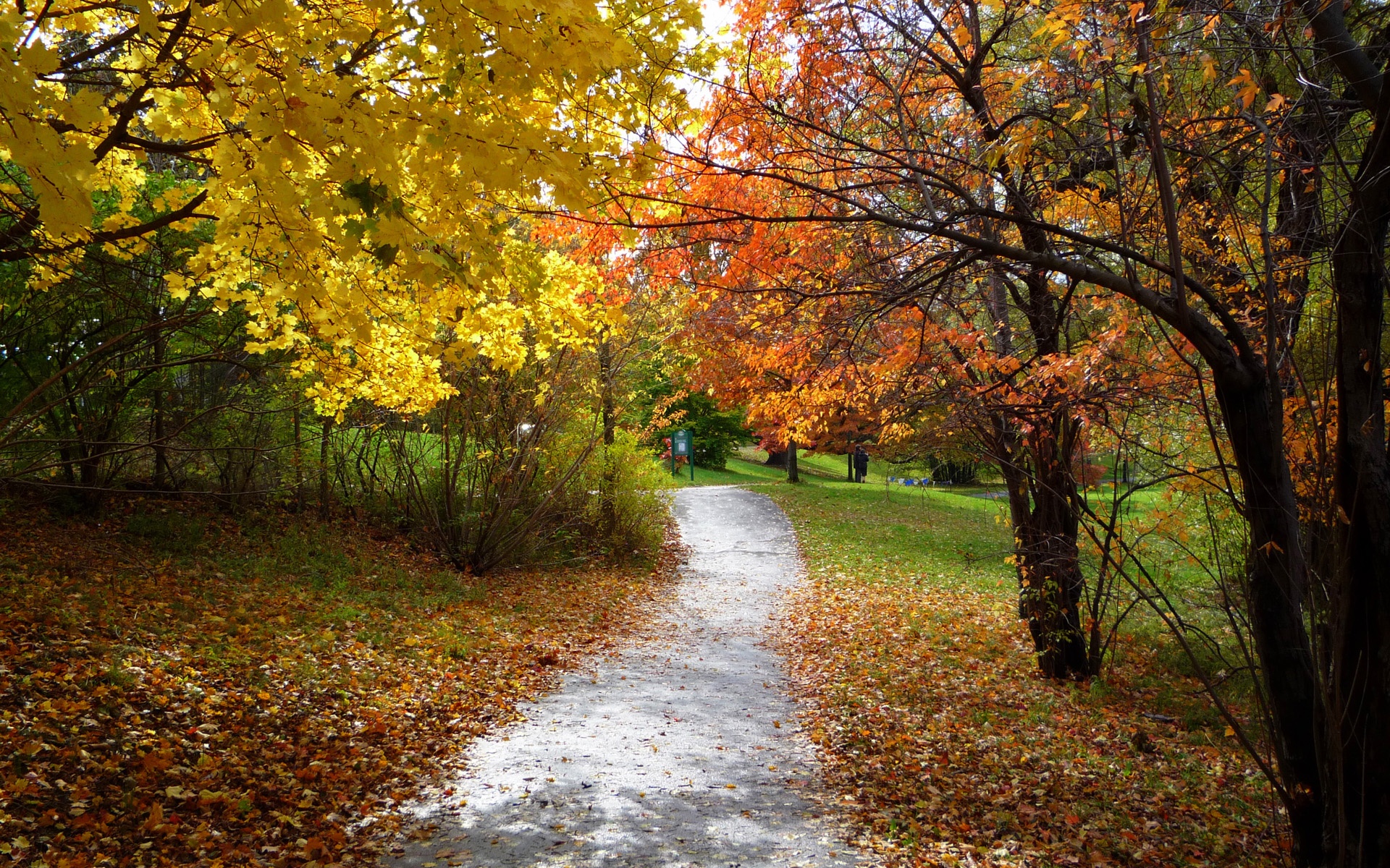 Autumn Trail 1920x1200 wallpaper download page 1536811
