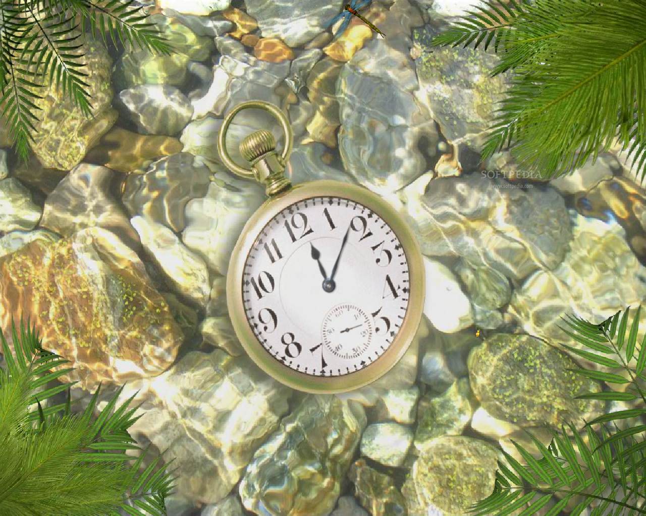 Underwater Clock Animated Screensaver This Is The Image That Will