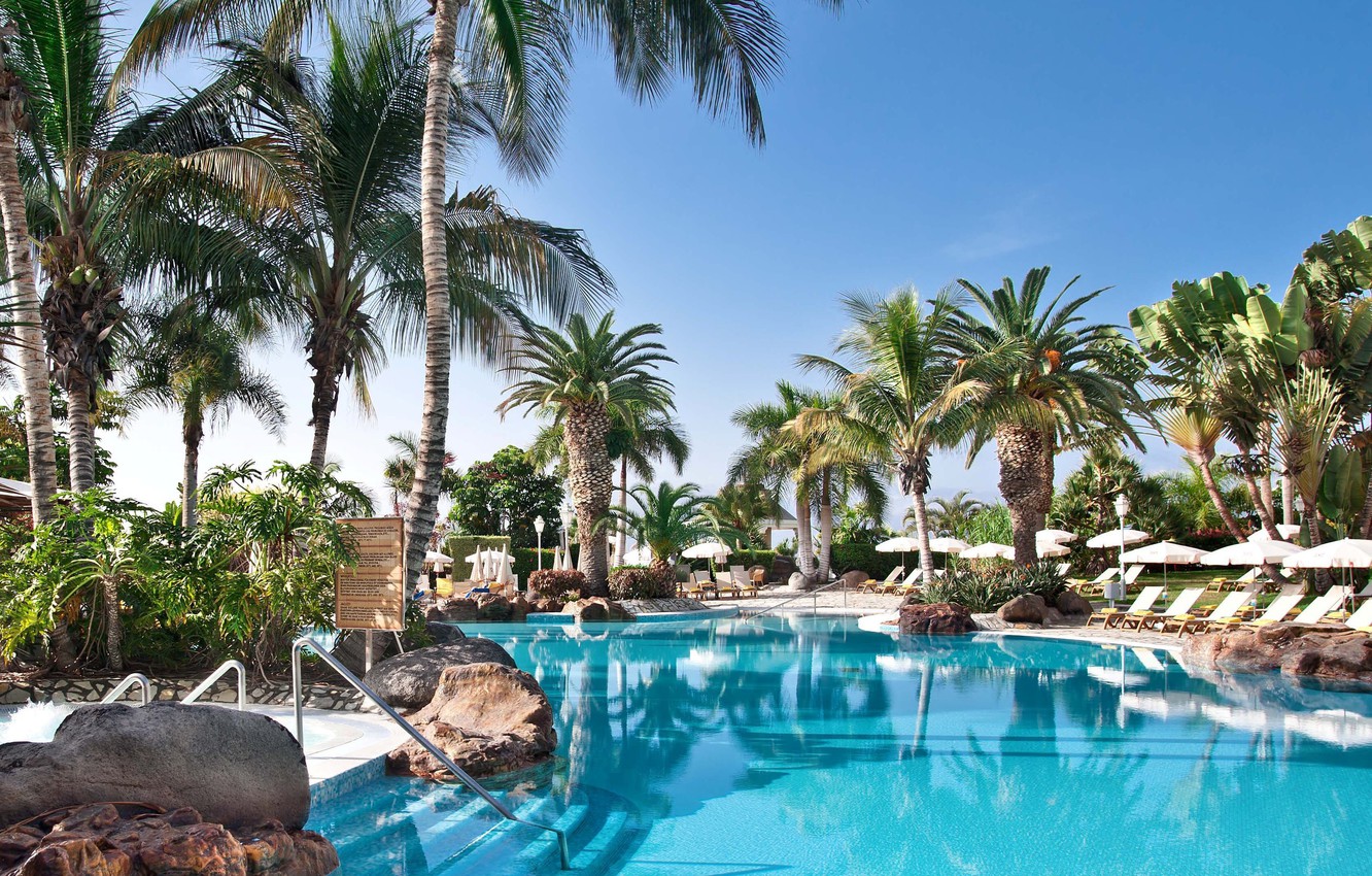 Wallpaper Palm Trees Pool Resort Palma De Mallorca Baleares