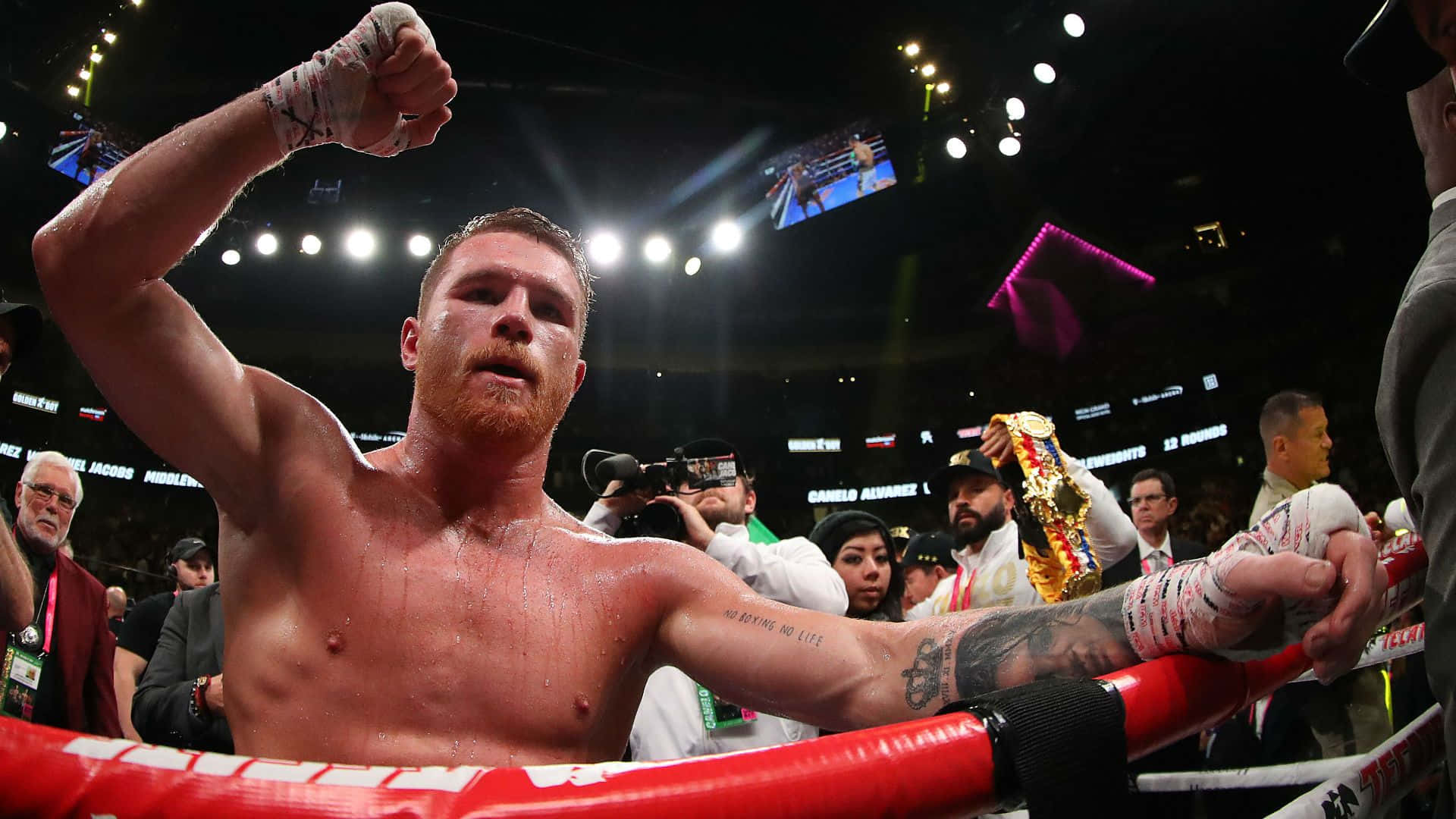 Saul Canelo Alvarez Wallpaper