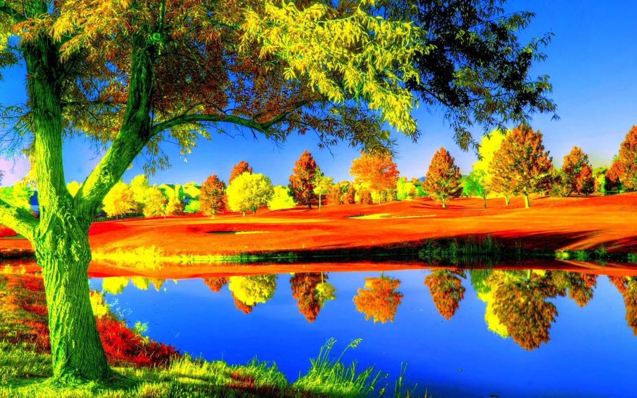 Picturesque Autumn Scenery Galaxy S4 The Best Wallpaper