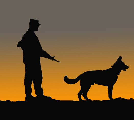 Military K9 Police Graphics Code Military K9 Police Comments